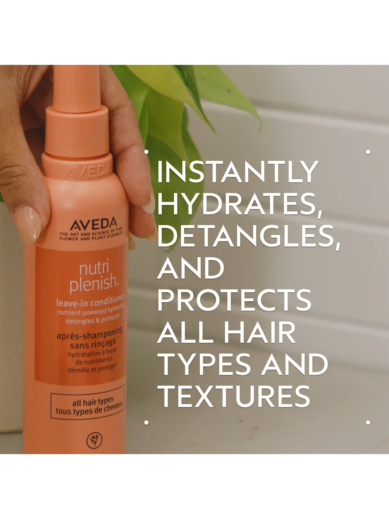 The Moisture Marvels Nutriplenish Hydrating Essentials - Image 4