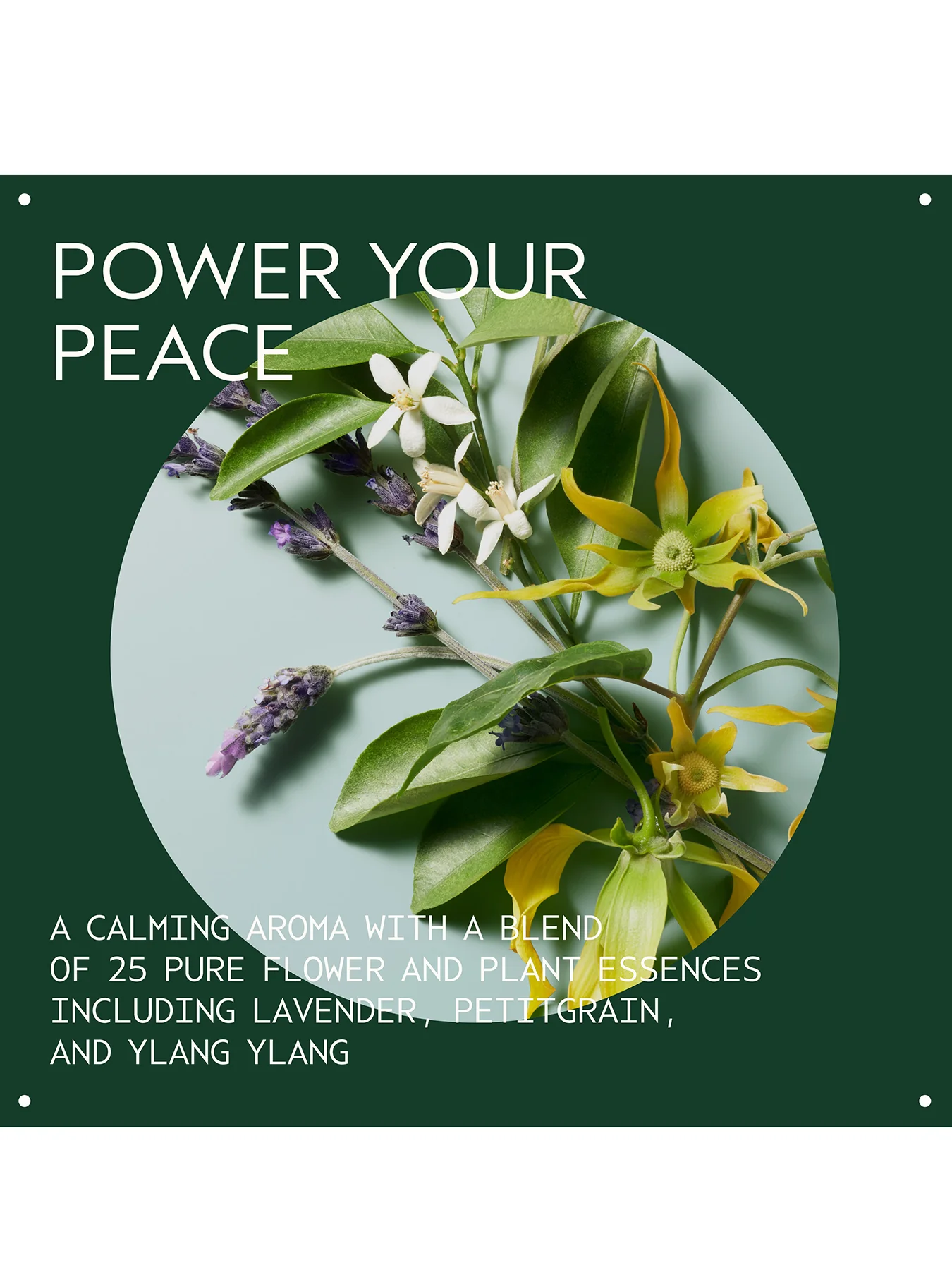 Serene Spirit Shampure Body Calming Essentials - Image 4