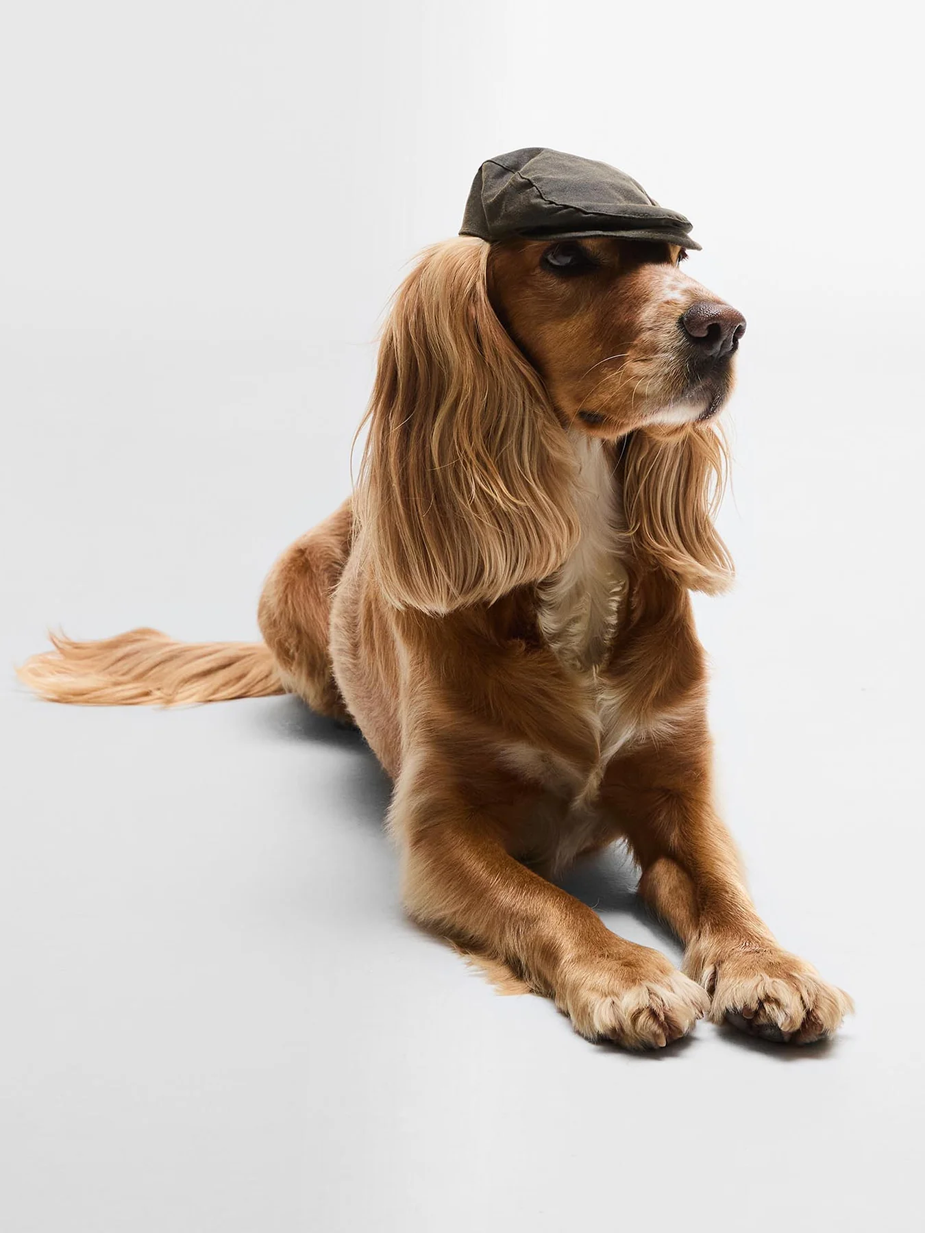 Dog Wax Flat Cap Olive Small-Medium - Image 2