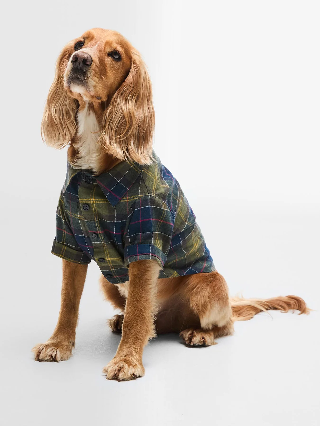 Barbour Fortrose Dog Shirt Classic Tartan Small - Image 2