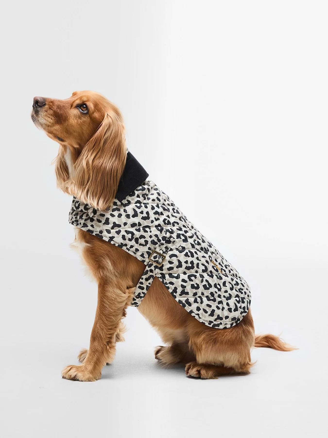 Barbour Harley Quilted Dog Coat Jasmine Leopard Small - Image 2