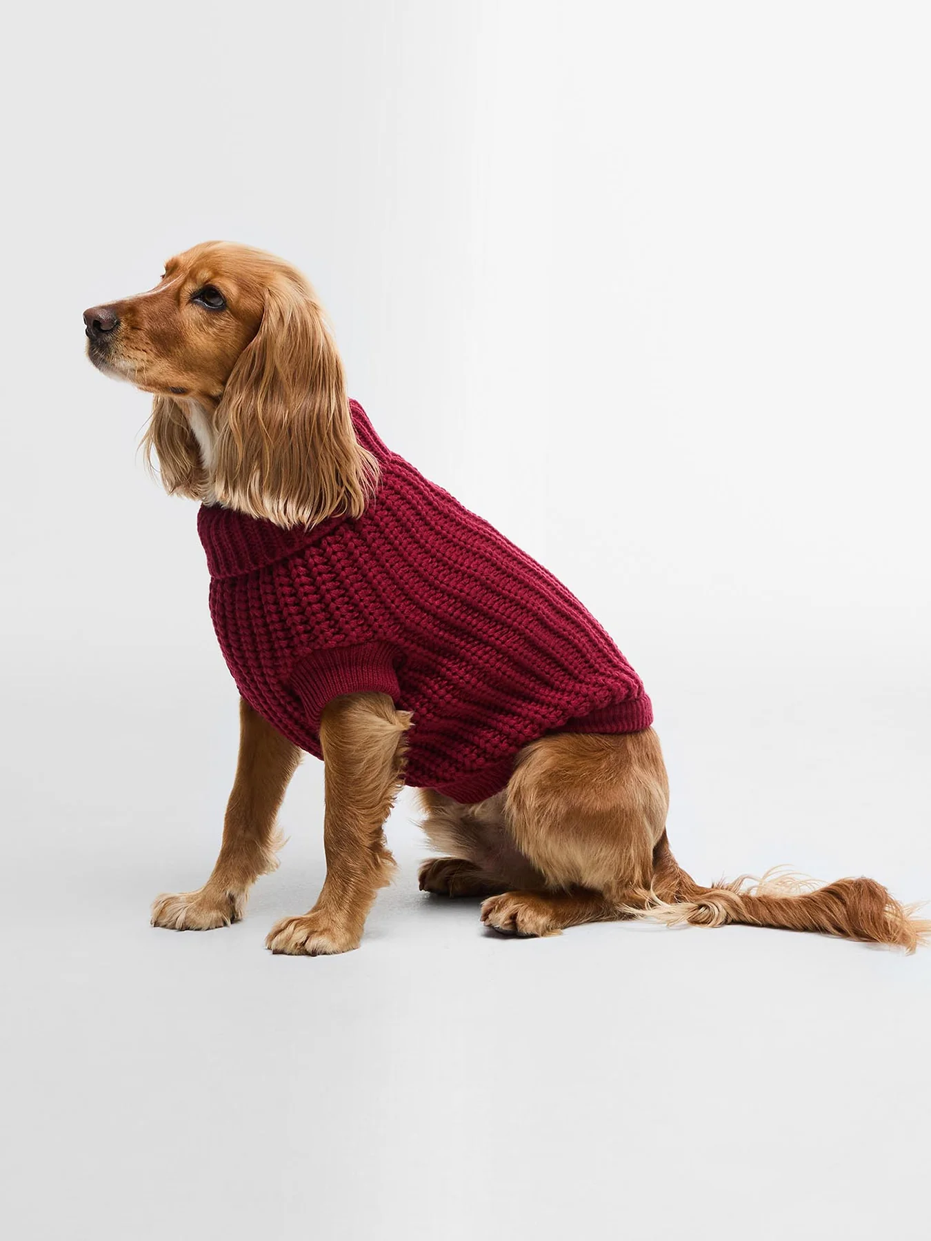 Barbour Saltburn Dog Jumper Biking Red Large - Image 2