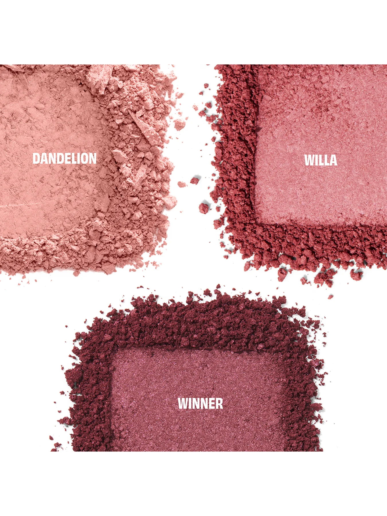 Cheek Score Blush Palette - Image 3