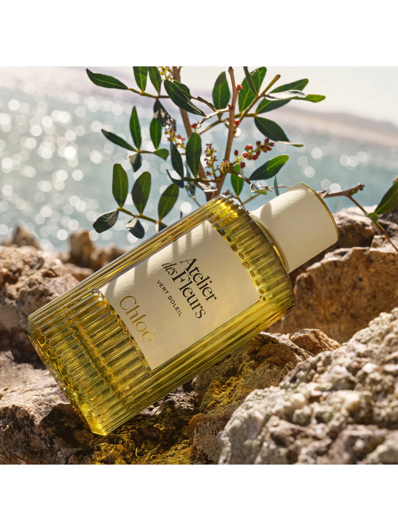 Atelier Des Fleurs Vert Soleil Eau de Parfum 50ml - Image 2