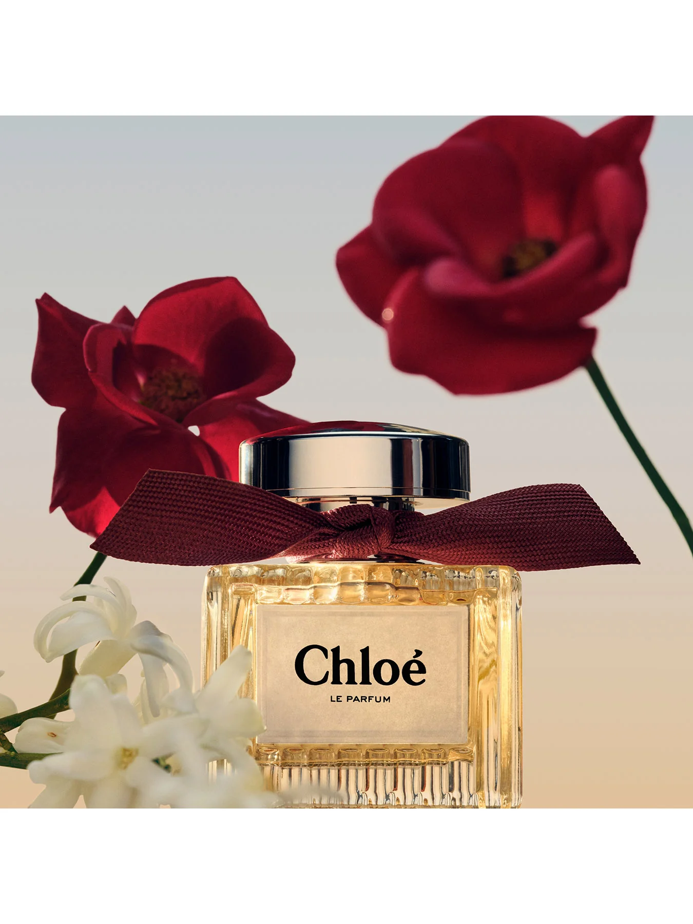 Chloe Le Parfum 100ml Eau de Parfum - Image 4