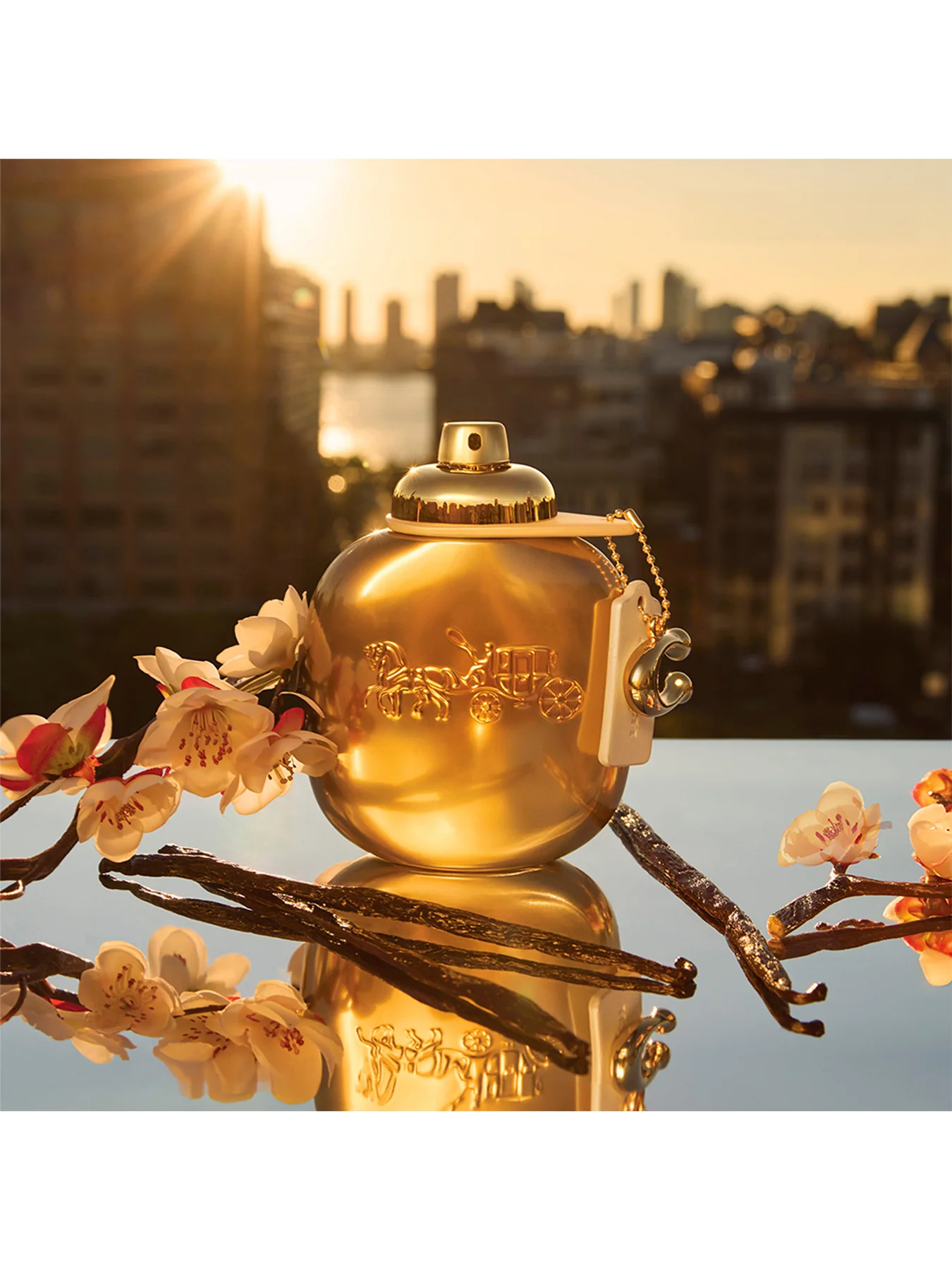 Coach Gold Parfum 30ml - Image 2