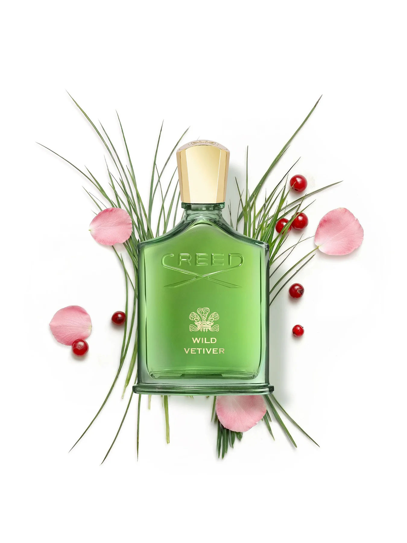 Wild Vetiver Eau de Parfum 50ml - Image 4