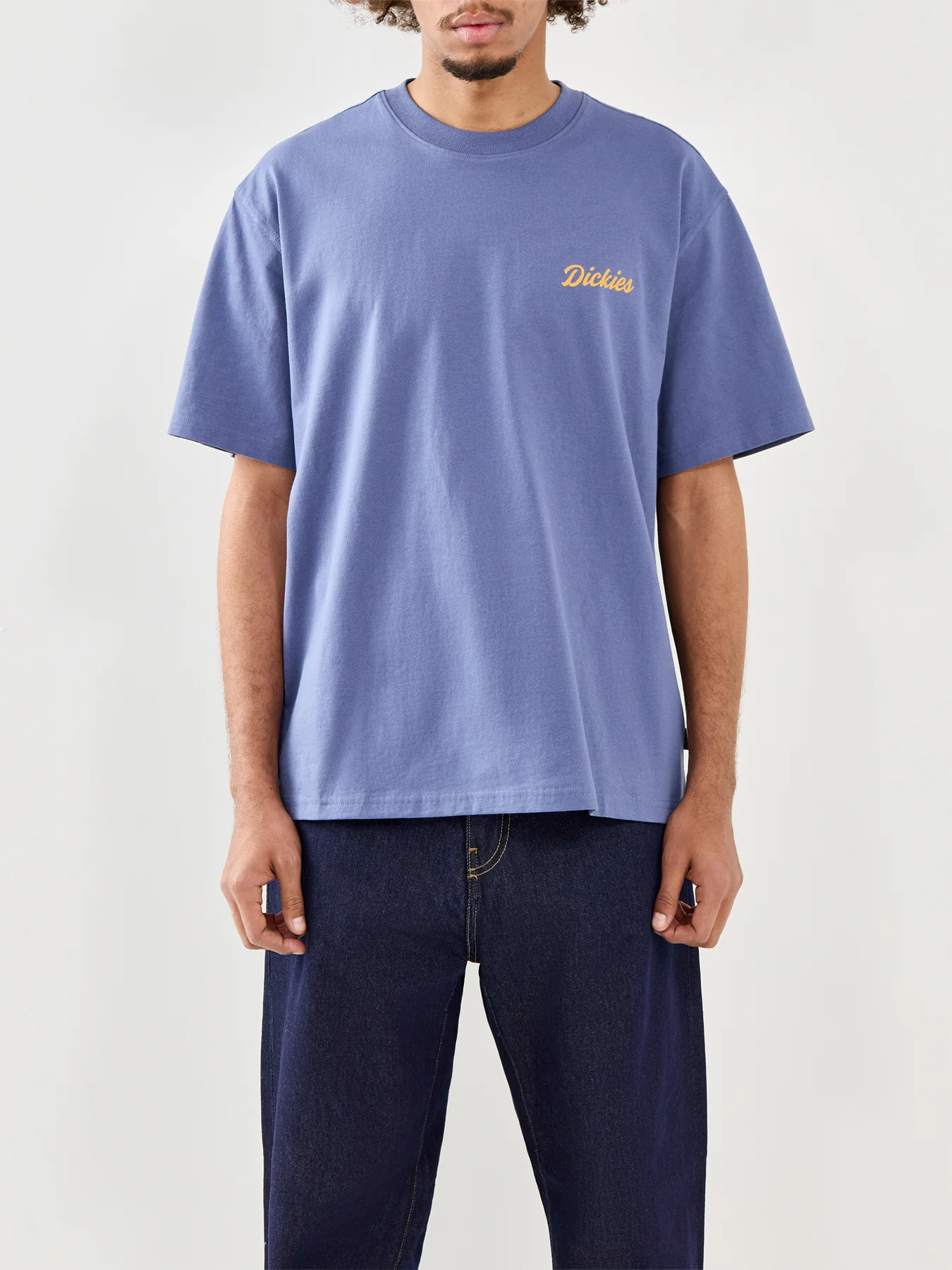 Dickies Wellsville Short Sleeve T-Shirt in Blue - Image 4