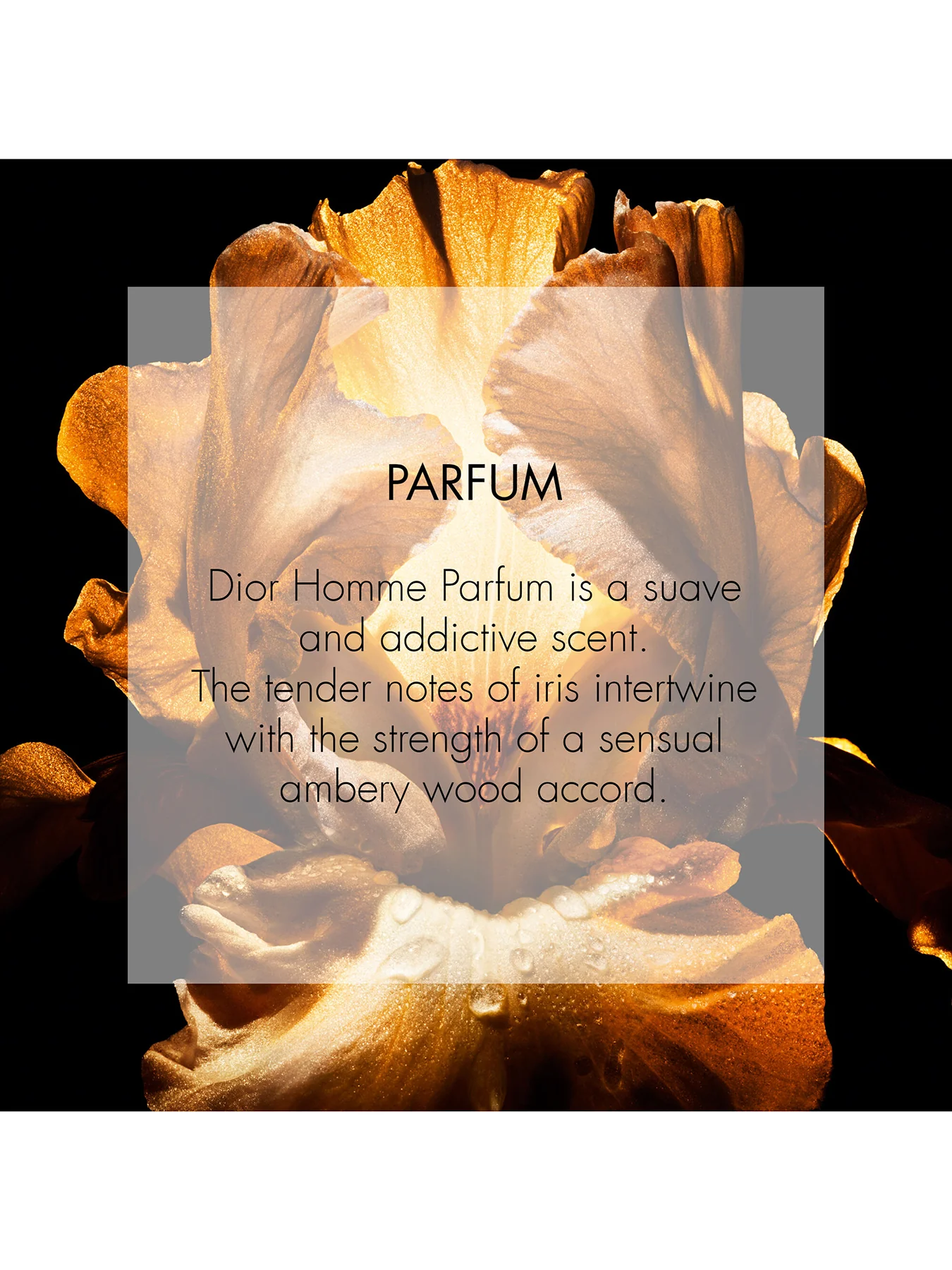 Dior Homme Parfum 125ml - Image 3