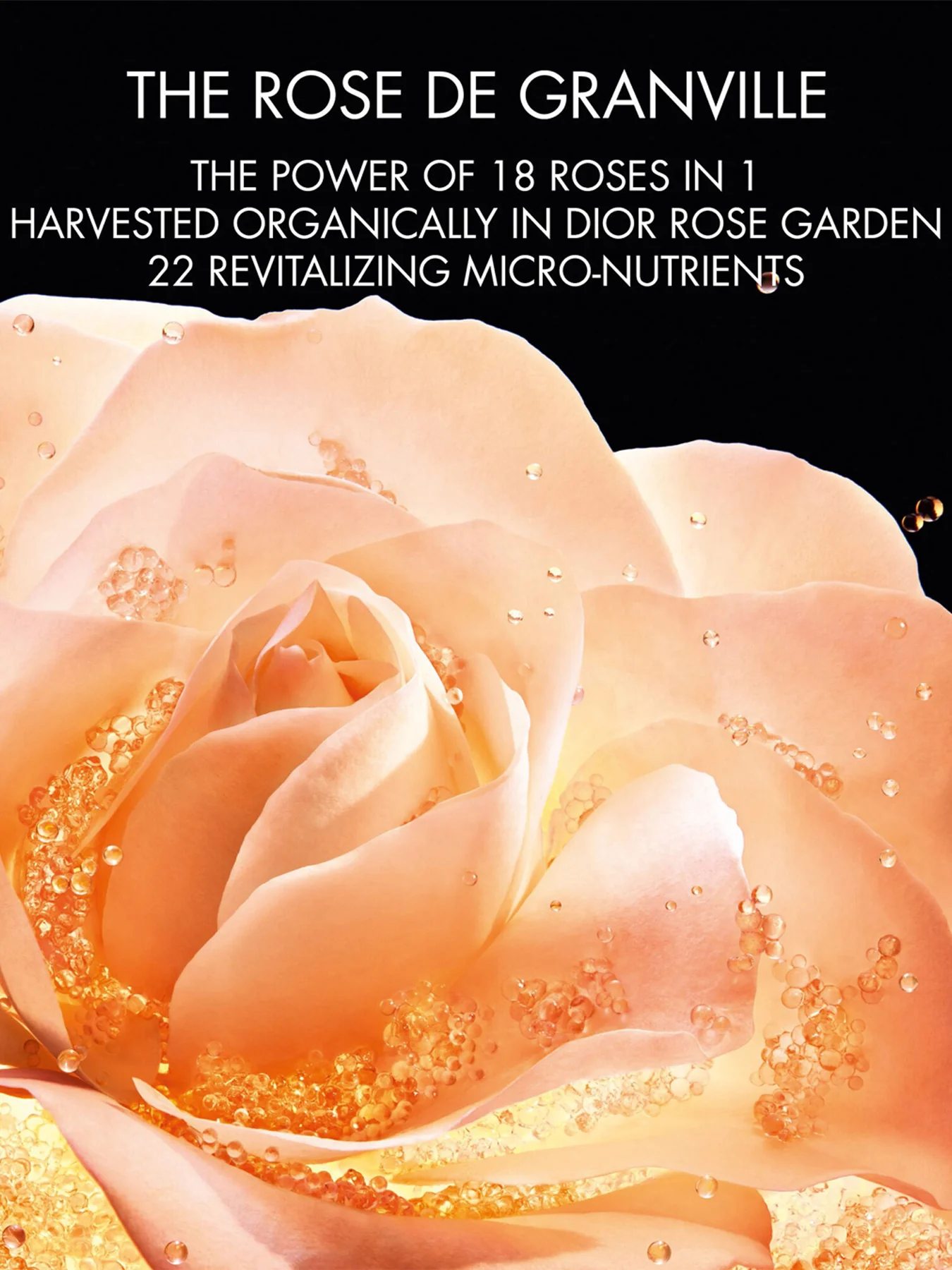 Dior Prestige Le Micro Fluide Teint de Rose Micro Nutritive Foundation - Image 35