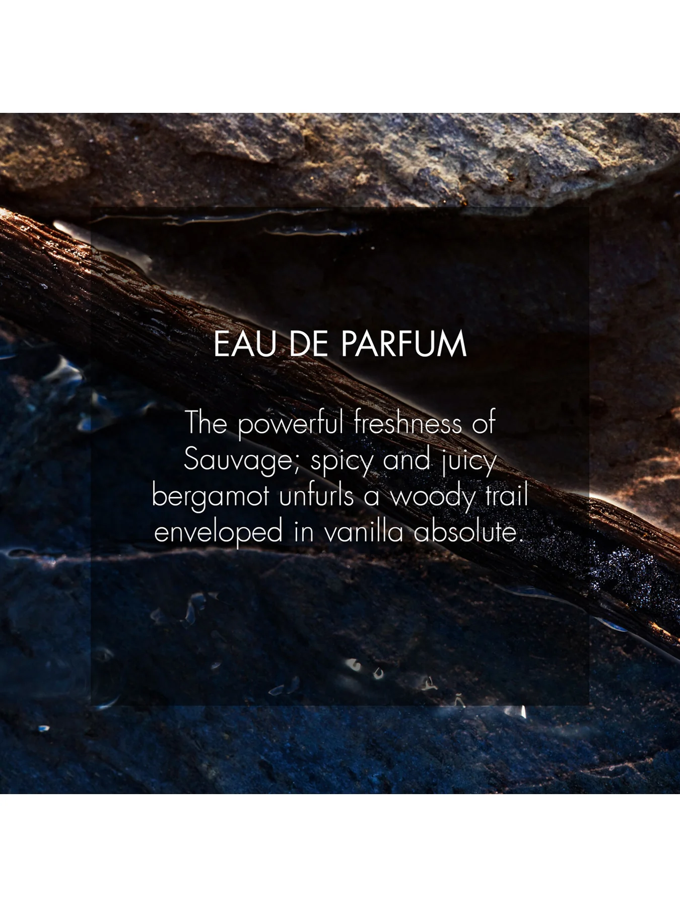 Sauvage Spray for the Wild Eau de Parfum 30ml Limited Edition - Image 2