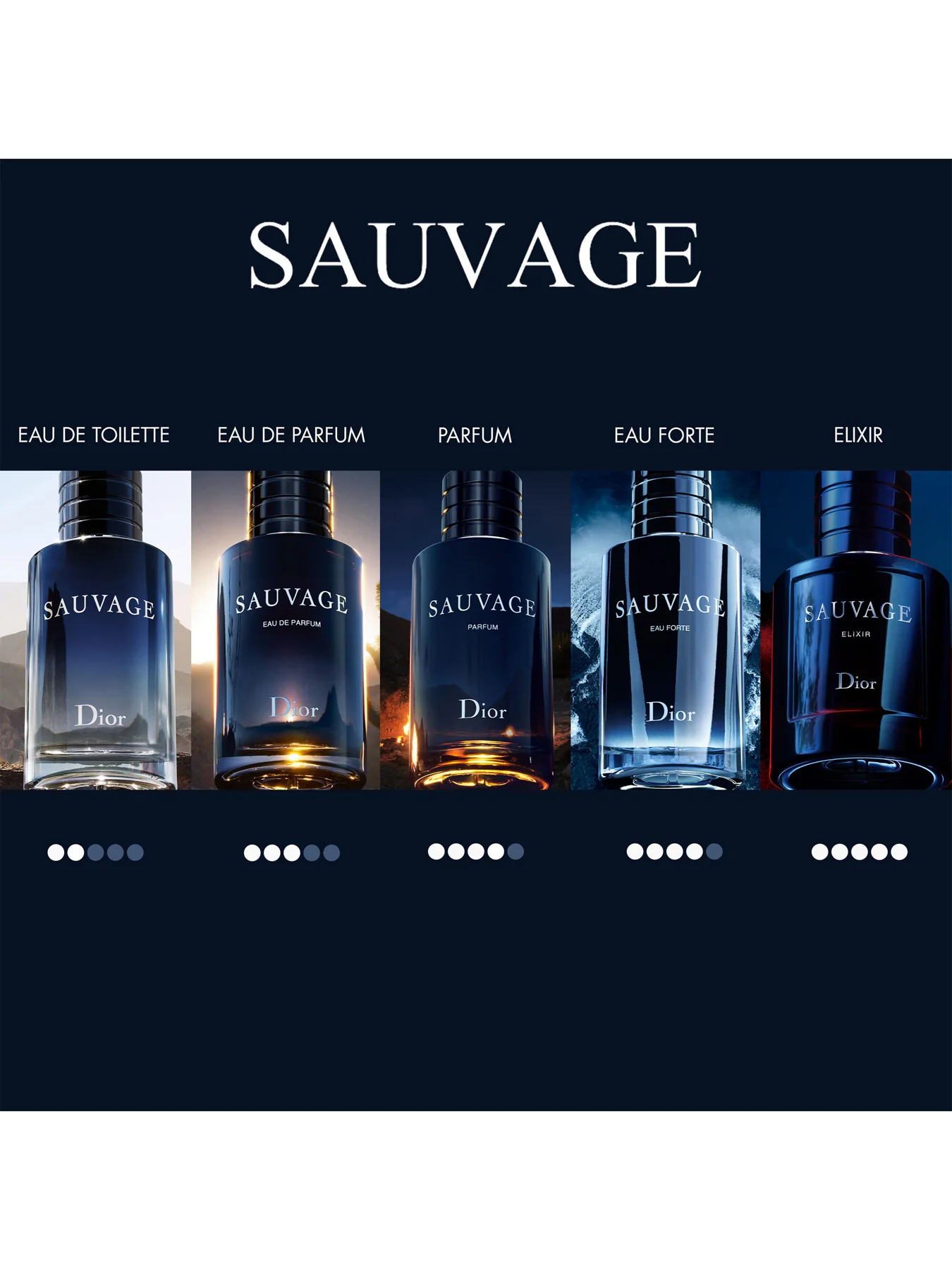 Sauvage Spray for the Wild Eau de Parfum 30ml Limited Edition - Image 4