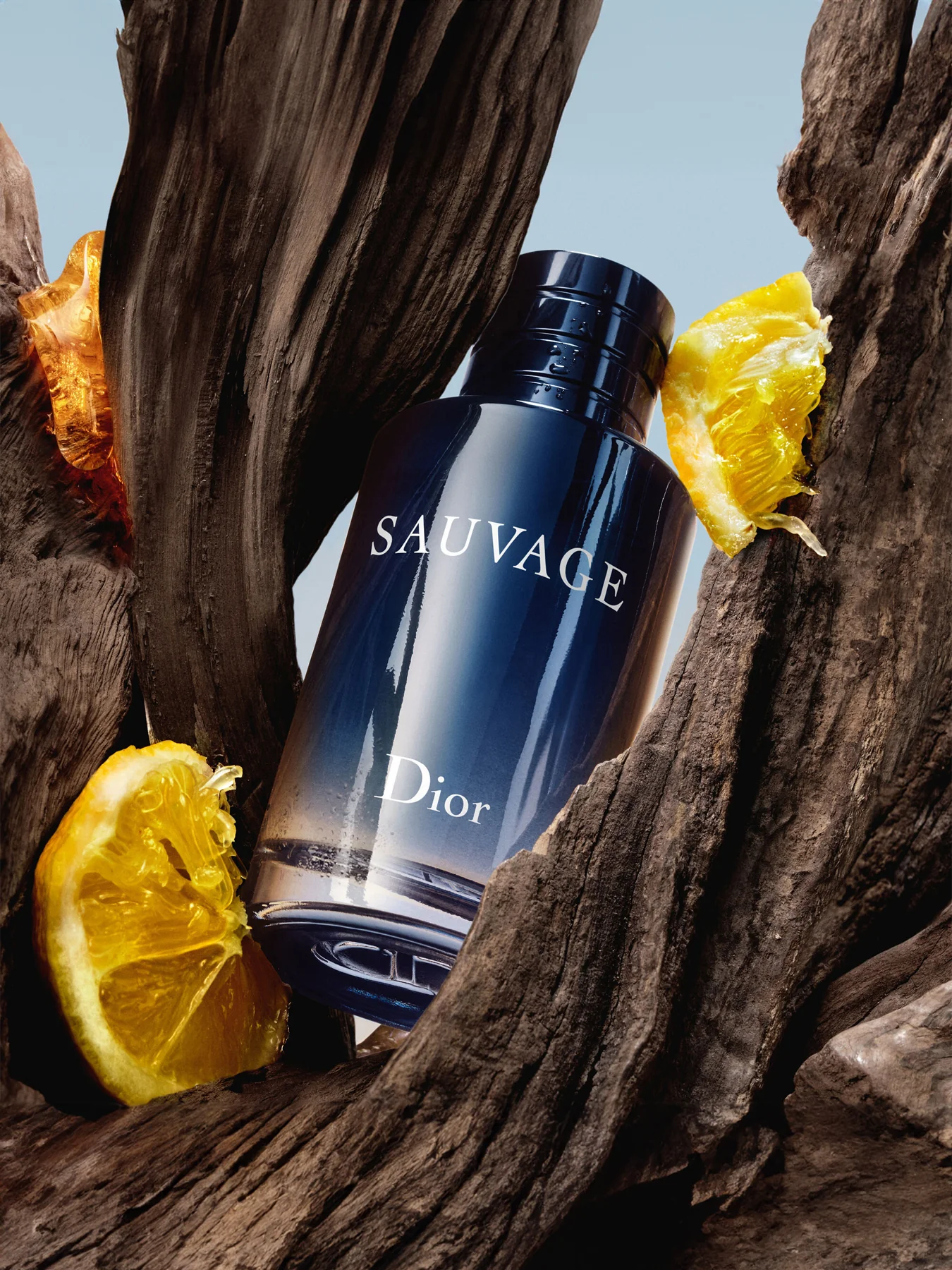 Sauvage Spray for the Wild Eau de Toilette 30ml Limited Edition - Image 3