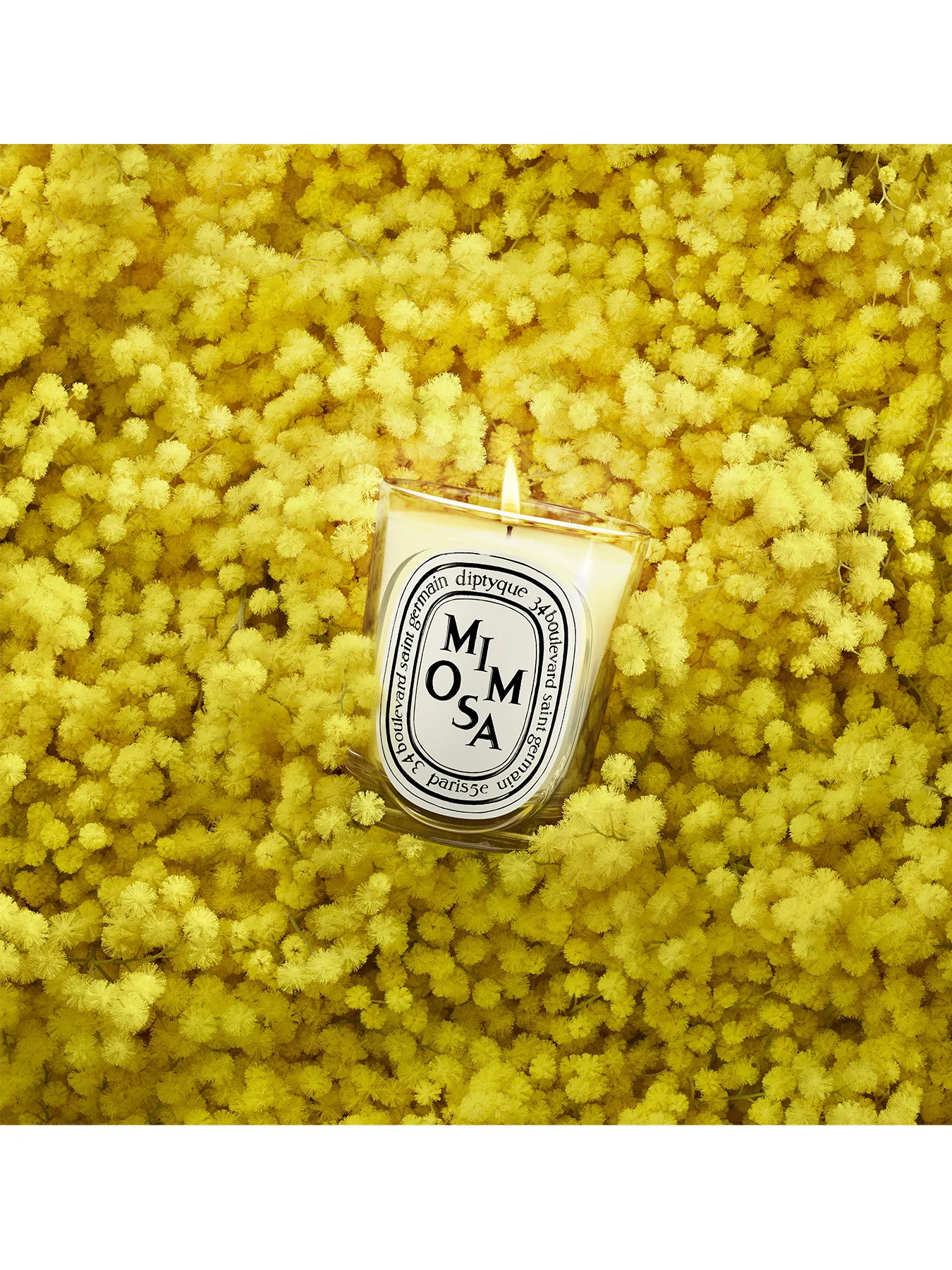 Mimosa Classic Candle 190g - Image 3