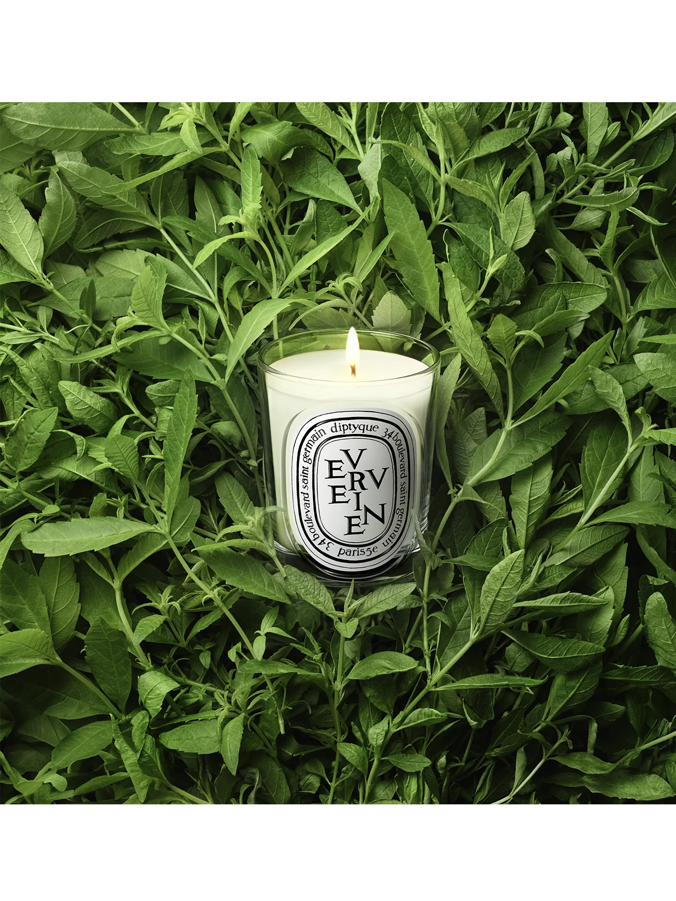 Verveine Classic Candle 190g - Image 3