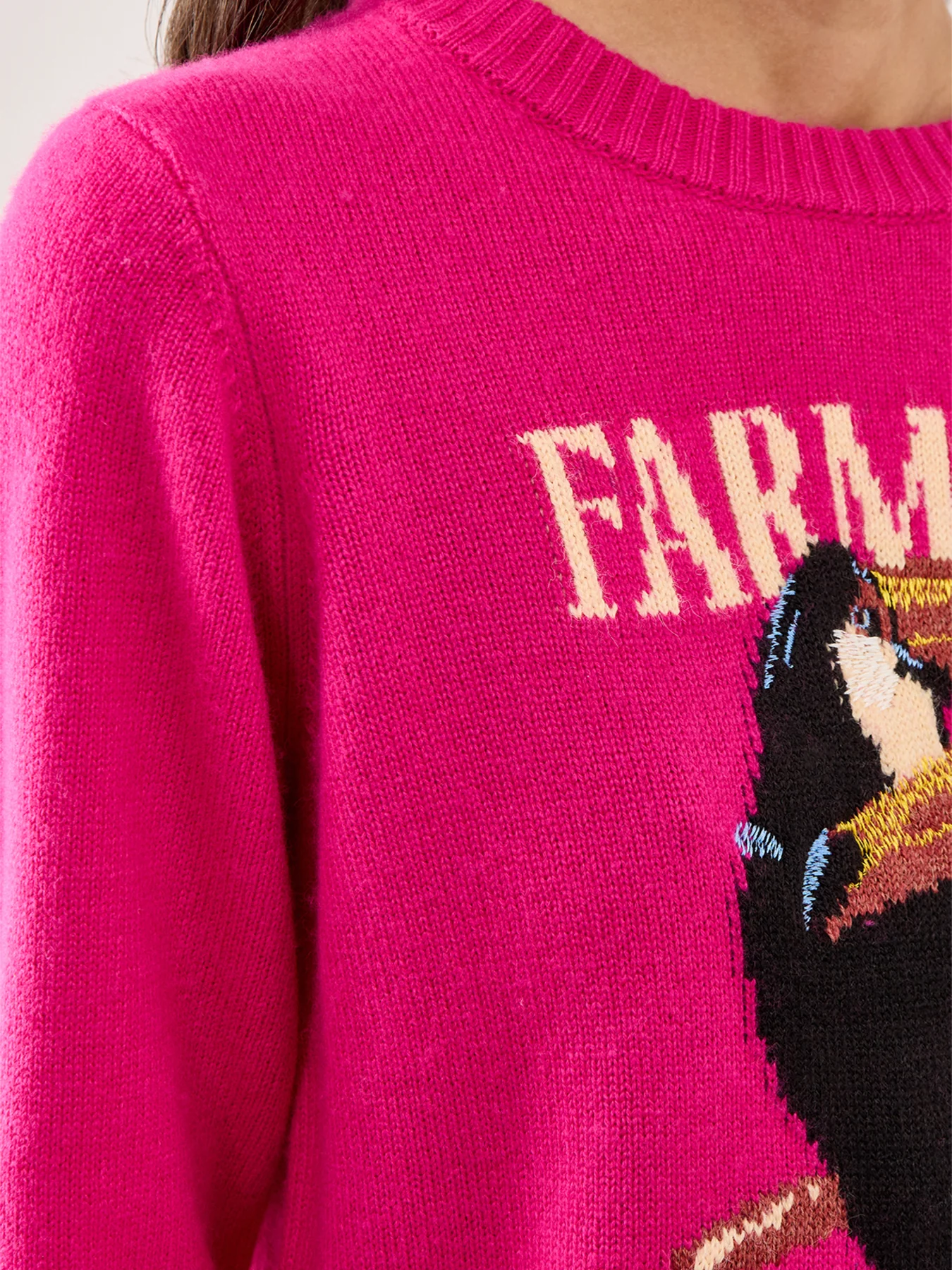Tucan Intarsia Knit Sweater Multi - Image 3