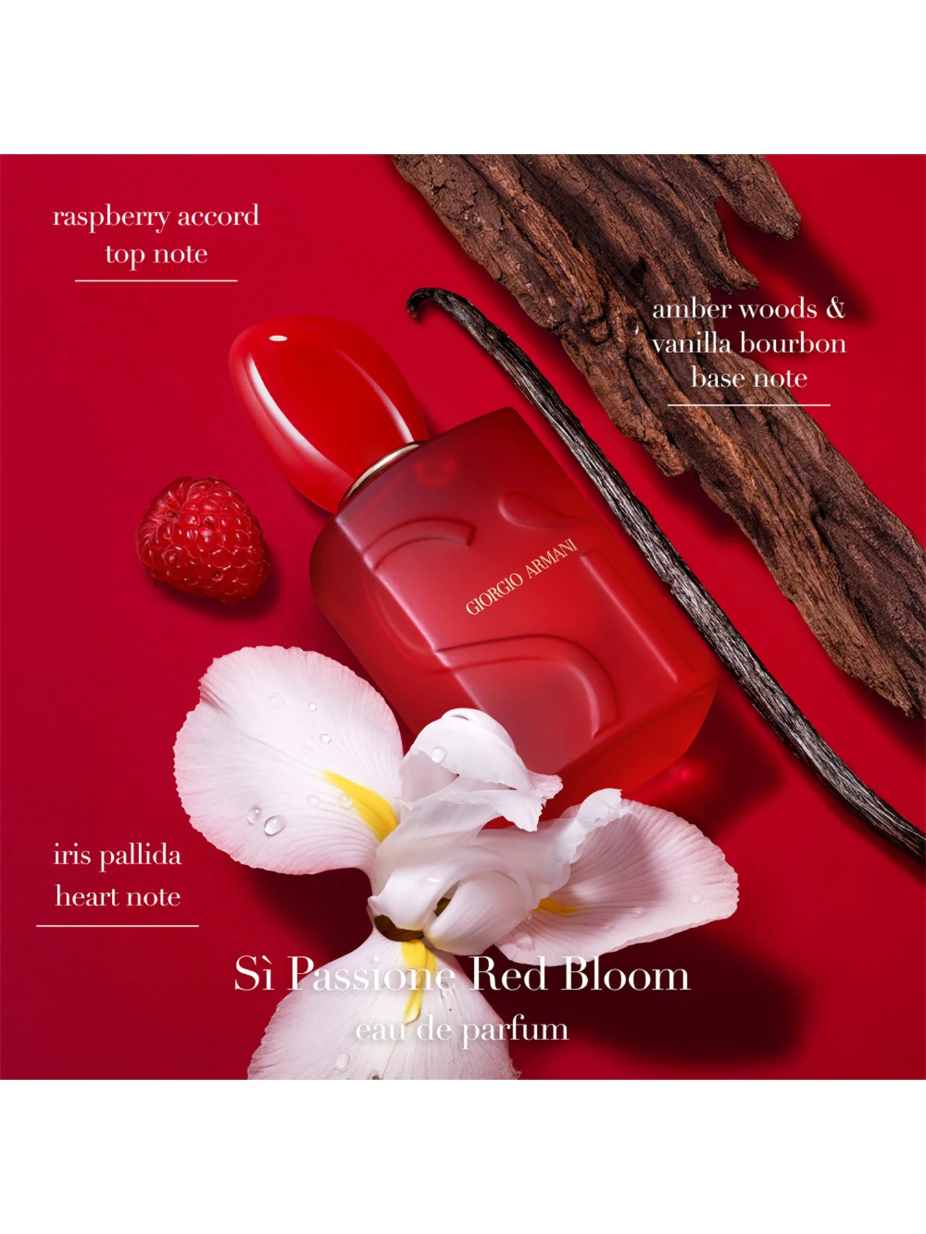 Si Passione Red Bloom Eau de Parfum 100ml - Image 3