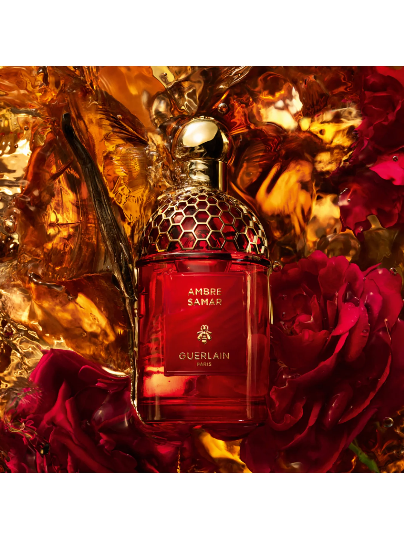 Absolus Allegoria Ambre Samar Eau de Parfum - Image 2