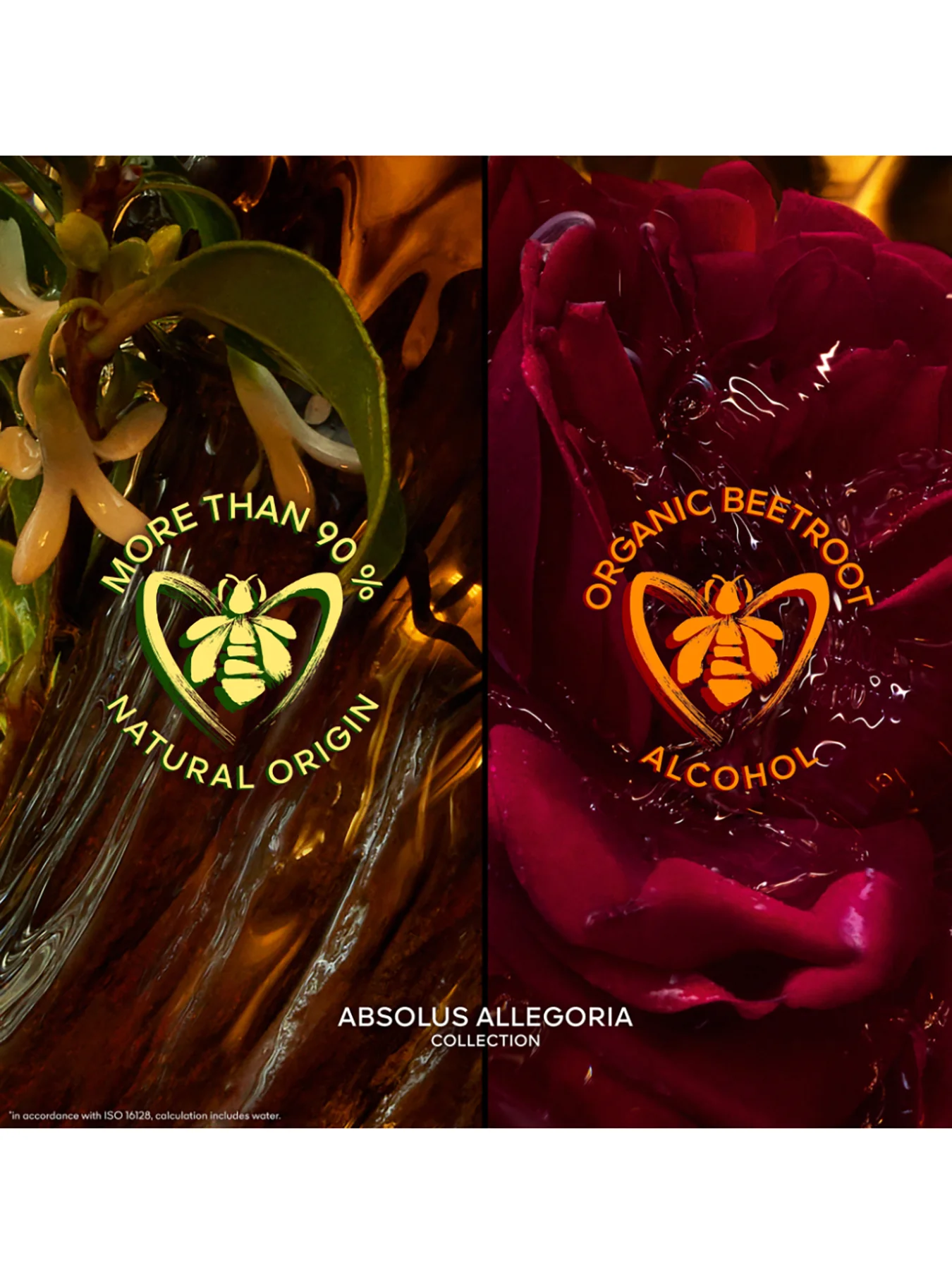 Absolus Allegoria Ambre Samar Eau de Parfum - Image 4