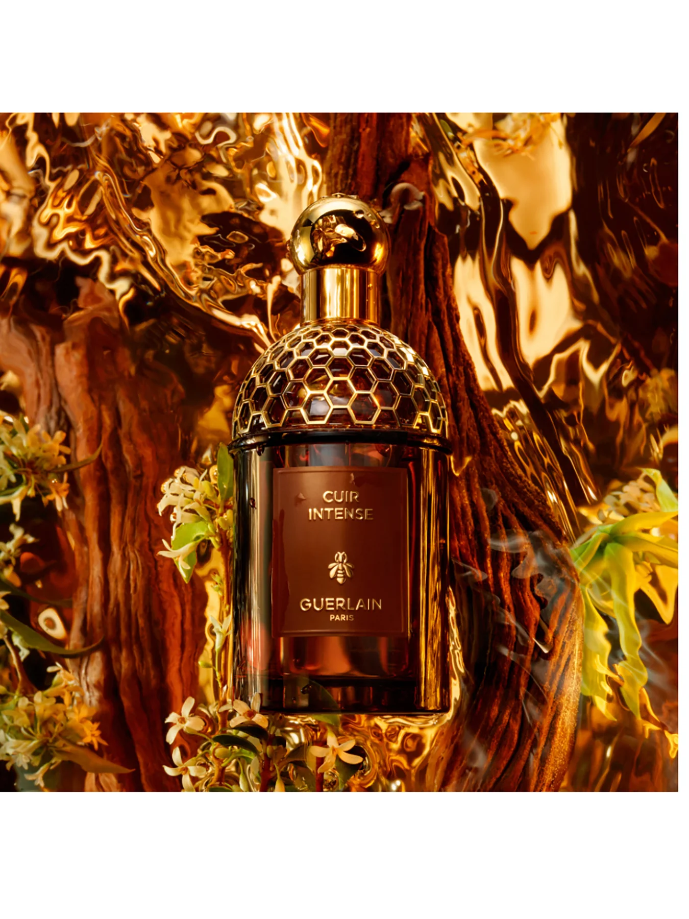 Absolus Allegoria Cuir Intense Eau de Parfum - Image 2
