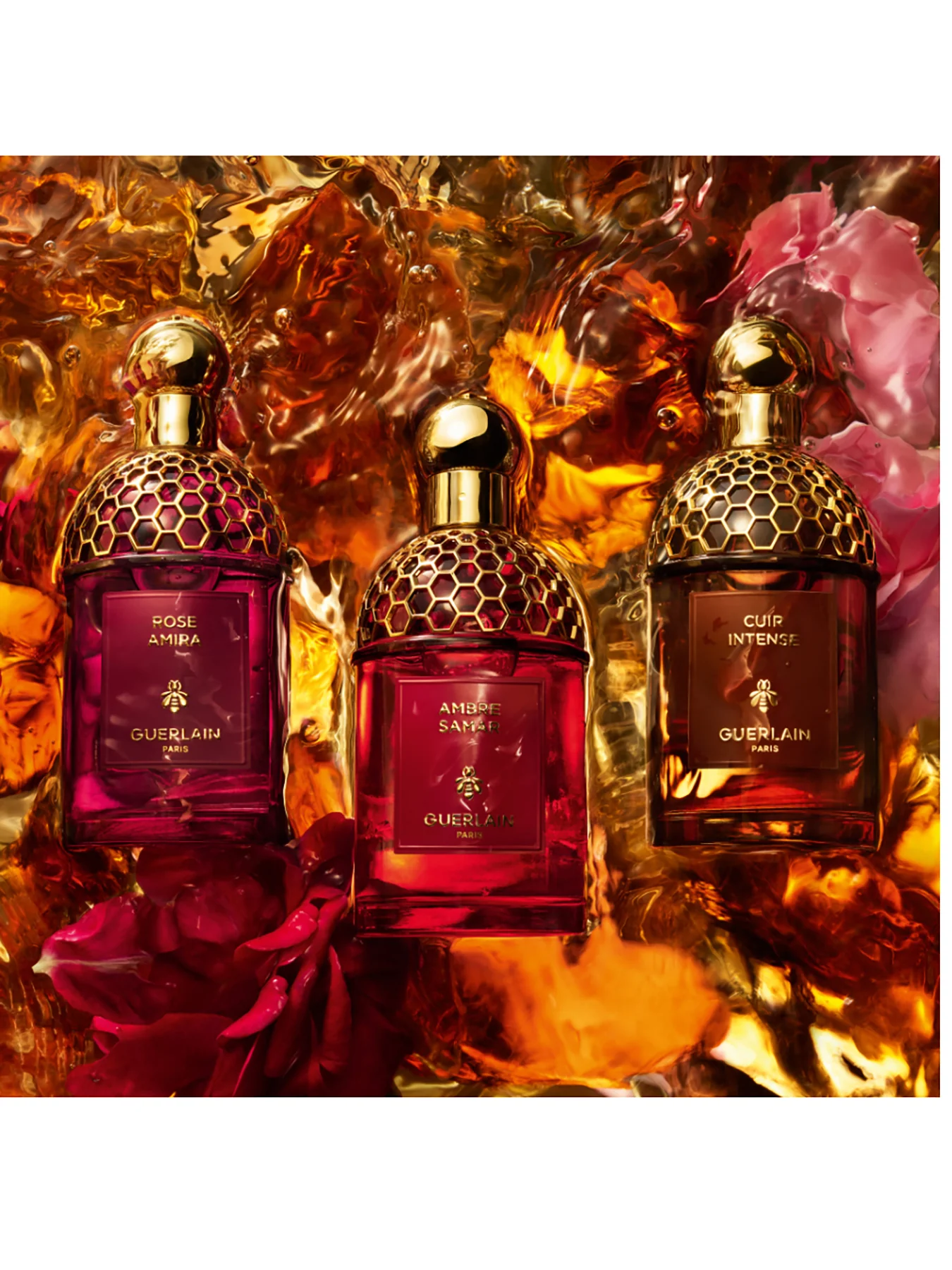 Absolus Allegoria Oud Essentiel Eau de Parfum - Image 5