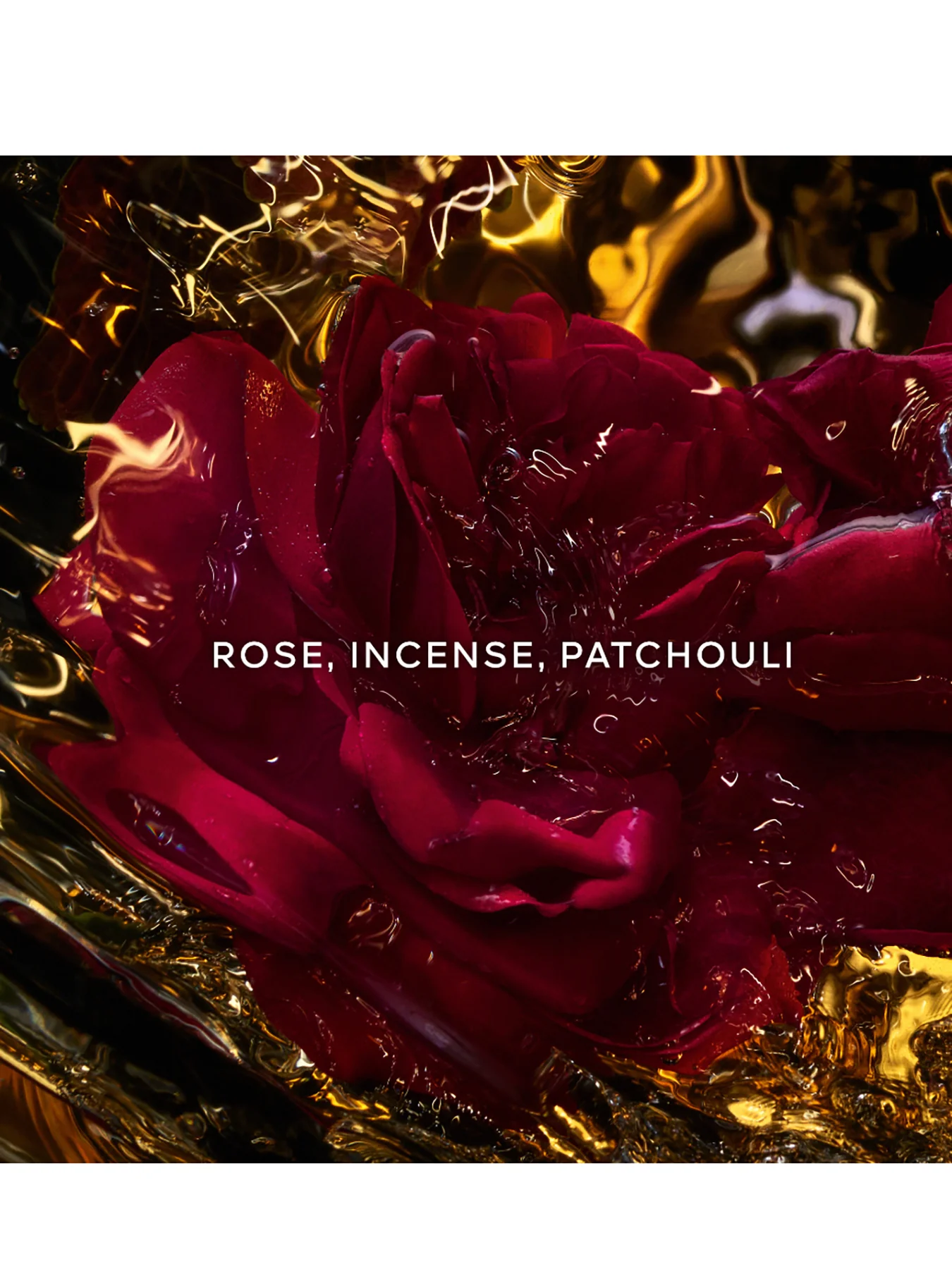 Absolus Allegoria Rose Amira Eau de Parfum - Image 2