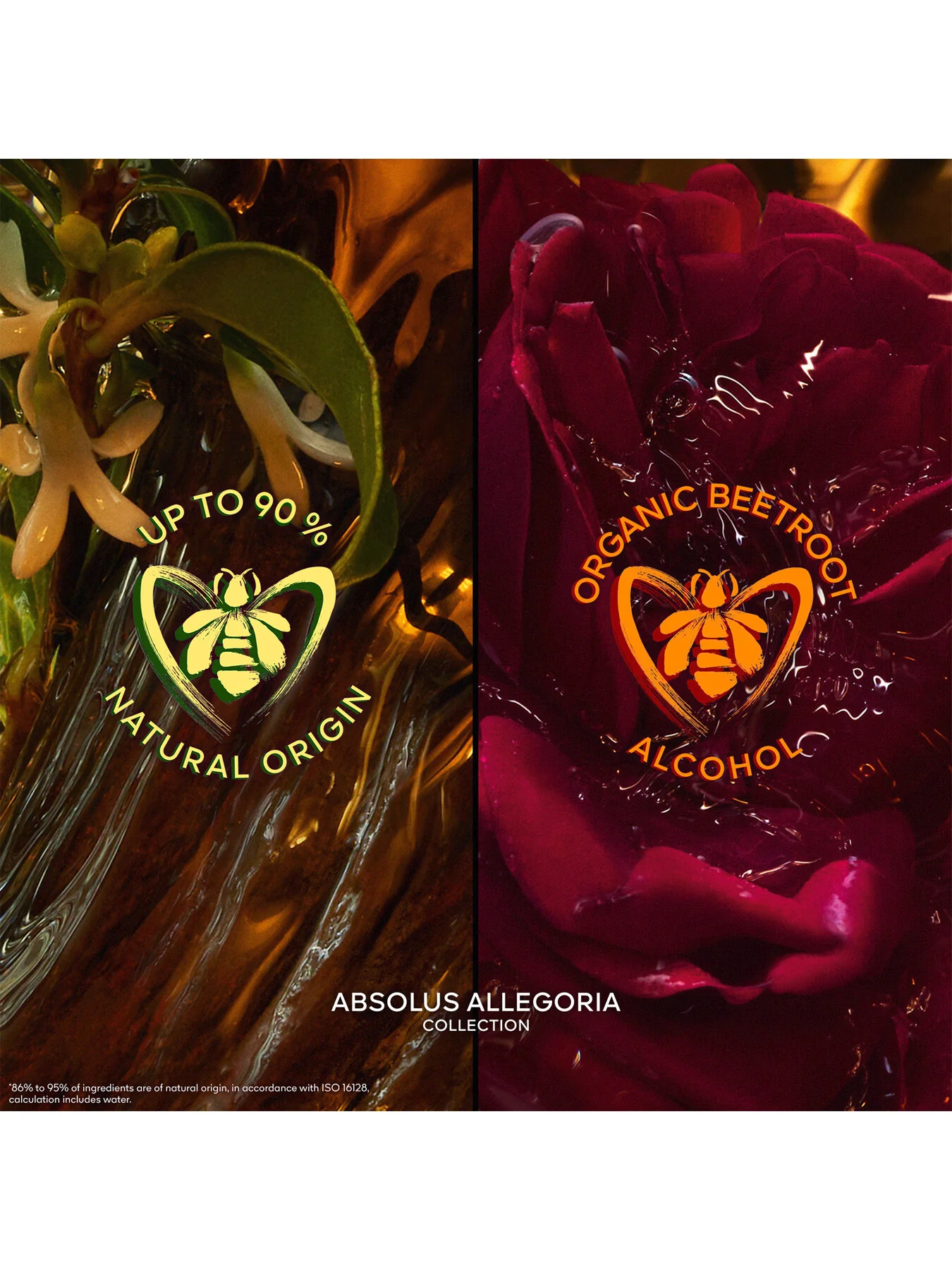Absolus Allegoria Santal Royal Eau de Parfum - Image 10