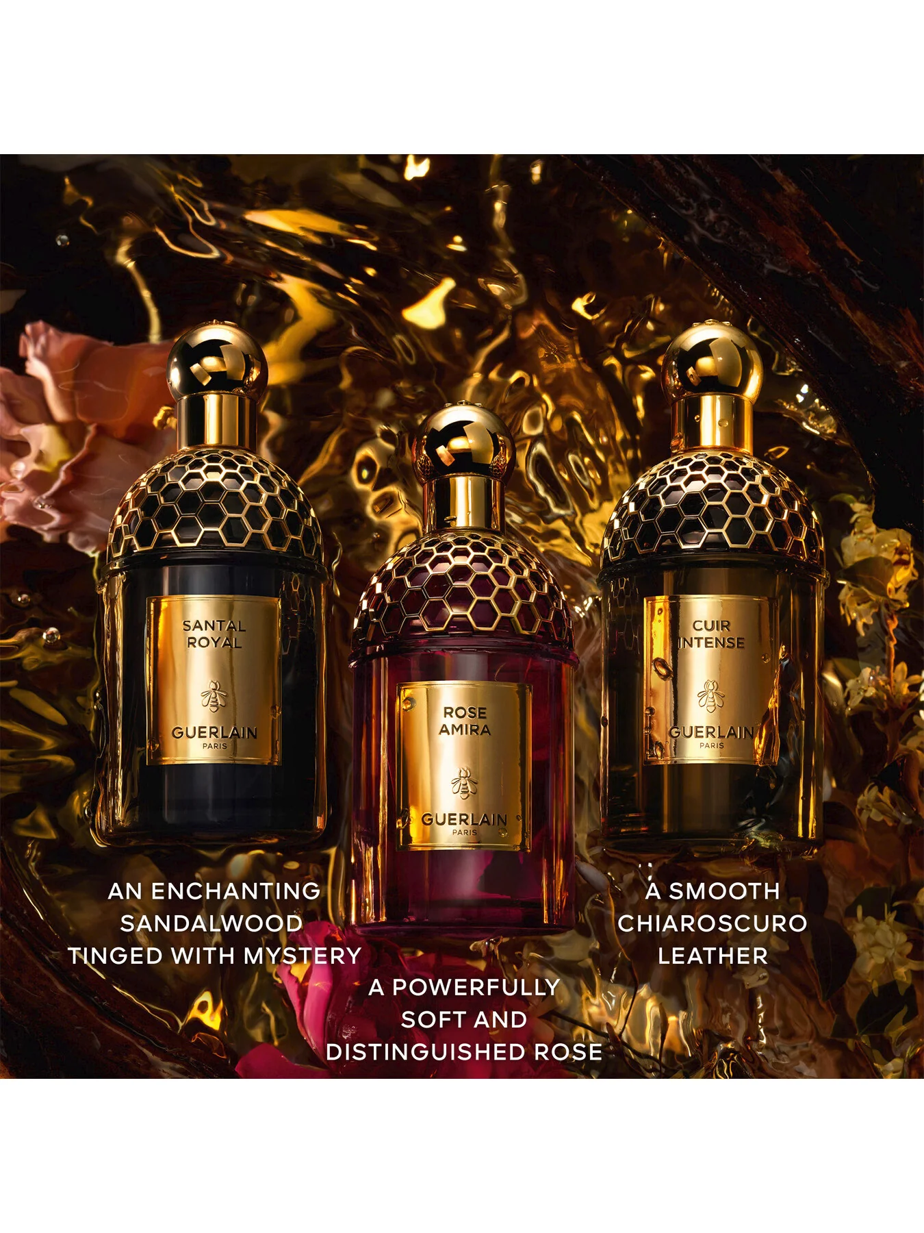 Absolus Allegoria Santal Royal Eau de Parfum - Image 12