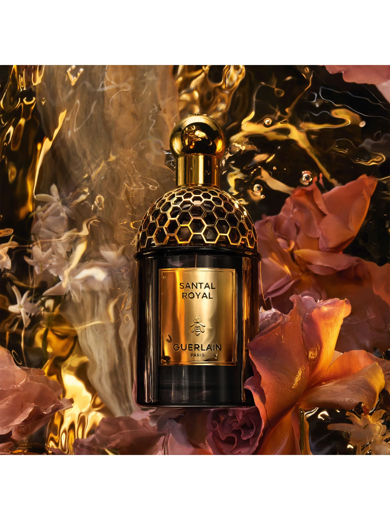 Absolus Allegoria Santal Royal Eau de Parfum - Image 8