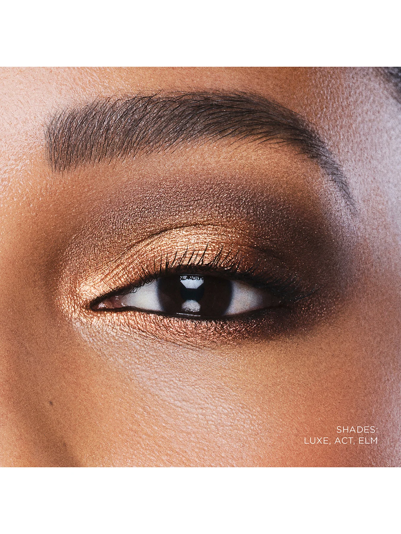 Curator Eyeshadow - Image 37