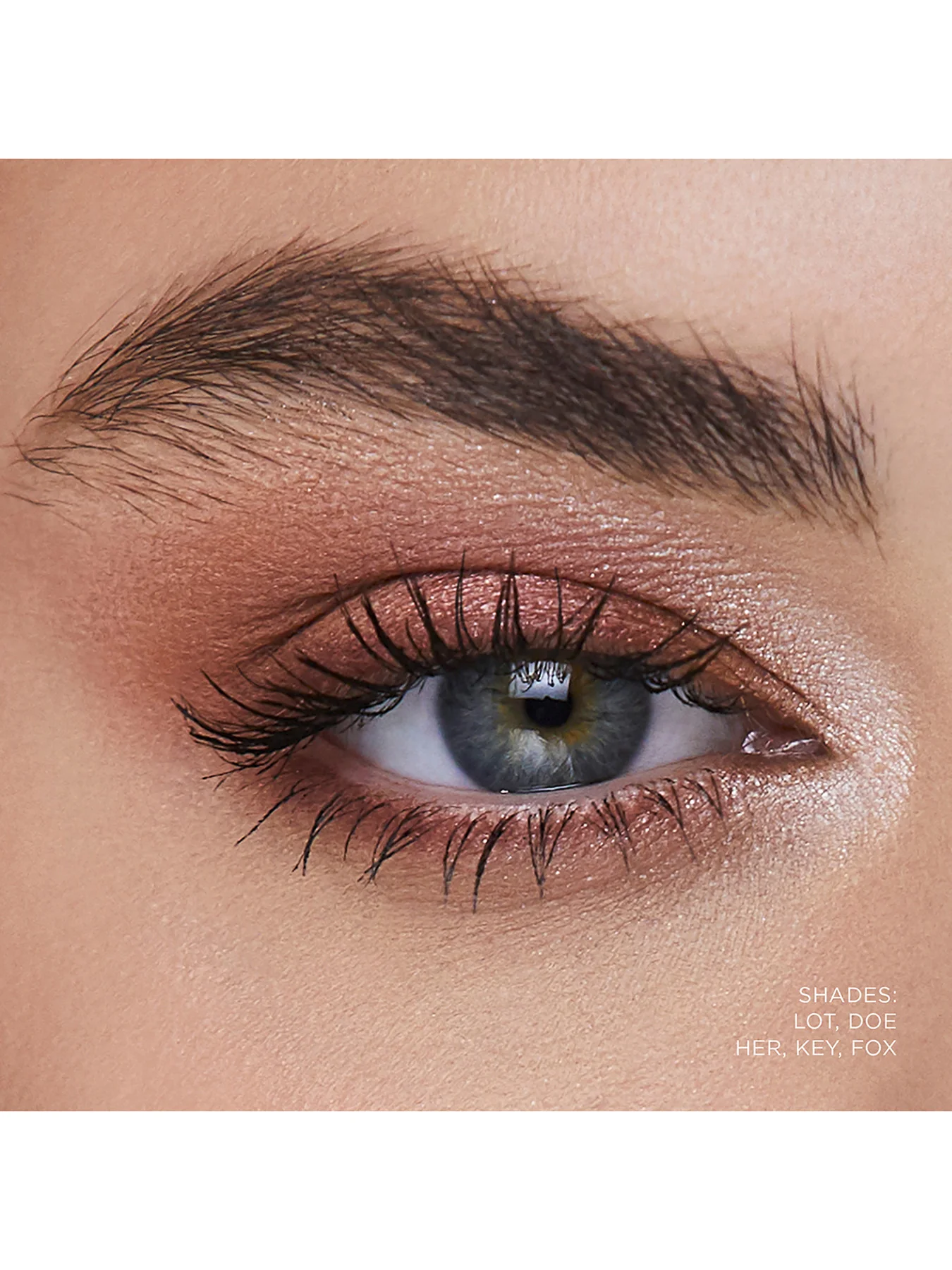 Curator Eyeshadow - Image 61