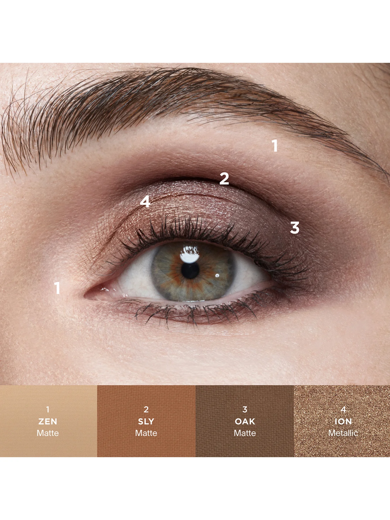 Curator Eyeshadow - Image 9