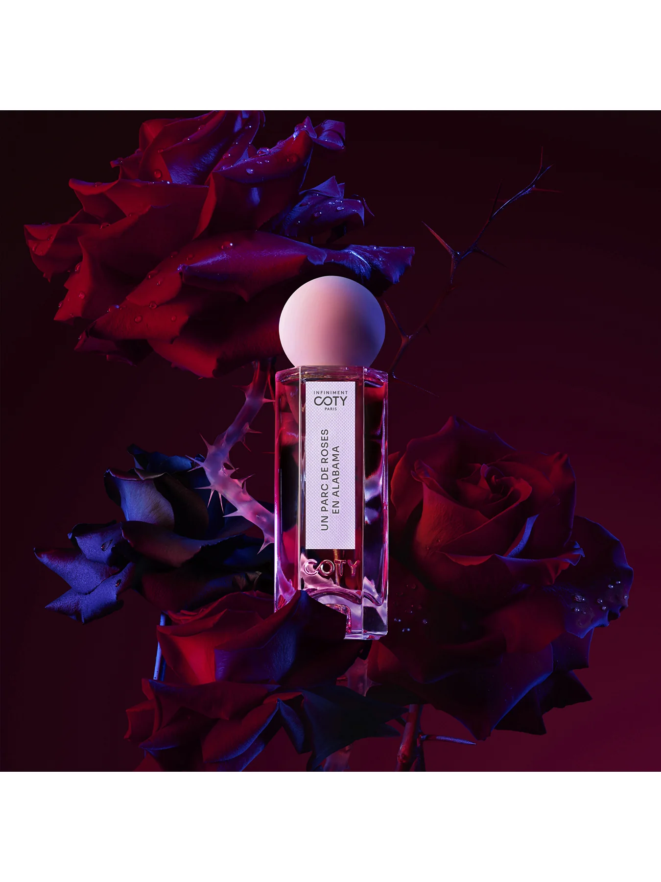 Un Parc de Roses en Alabama Parfum Refill 150 ml - Image 3