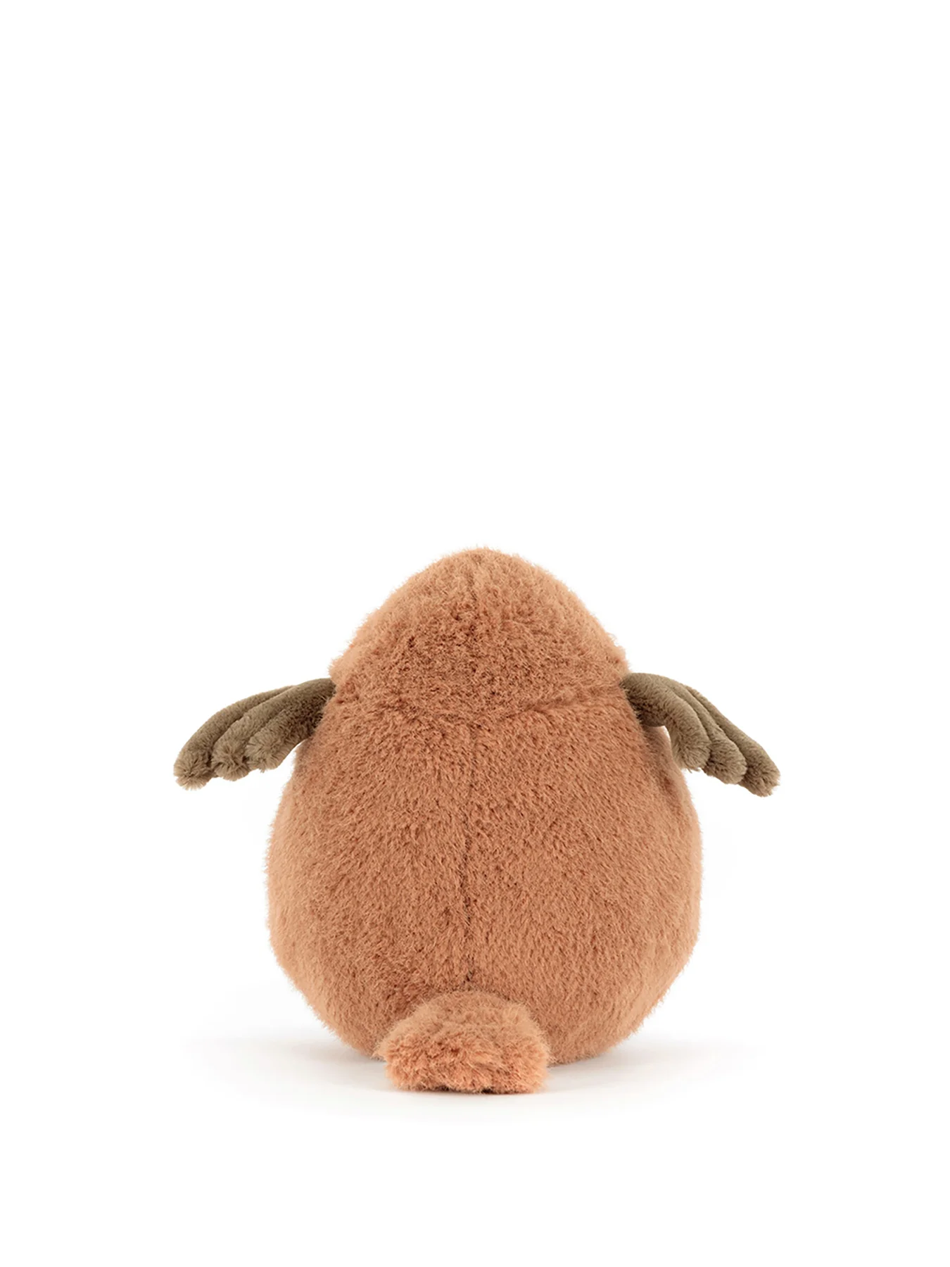 Robin - Image 2