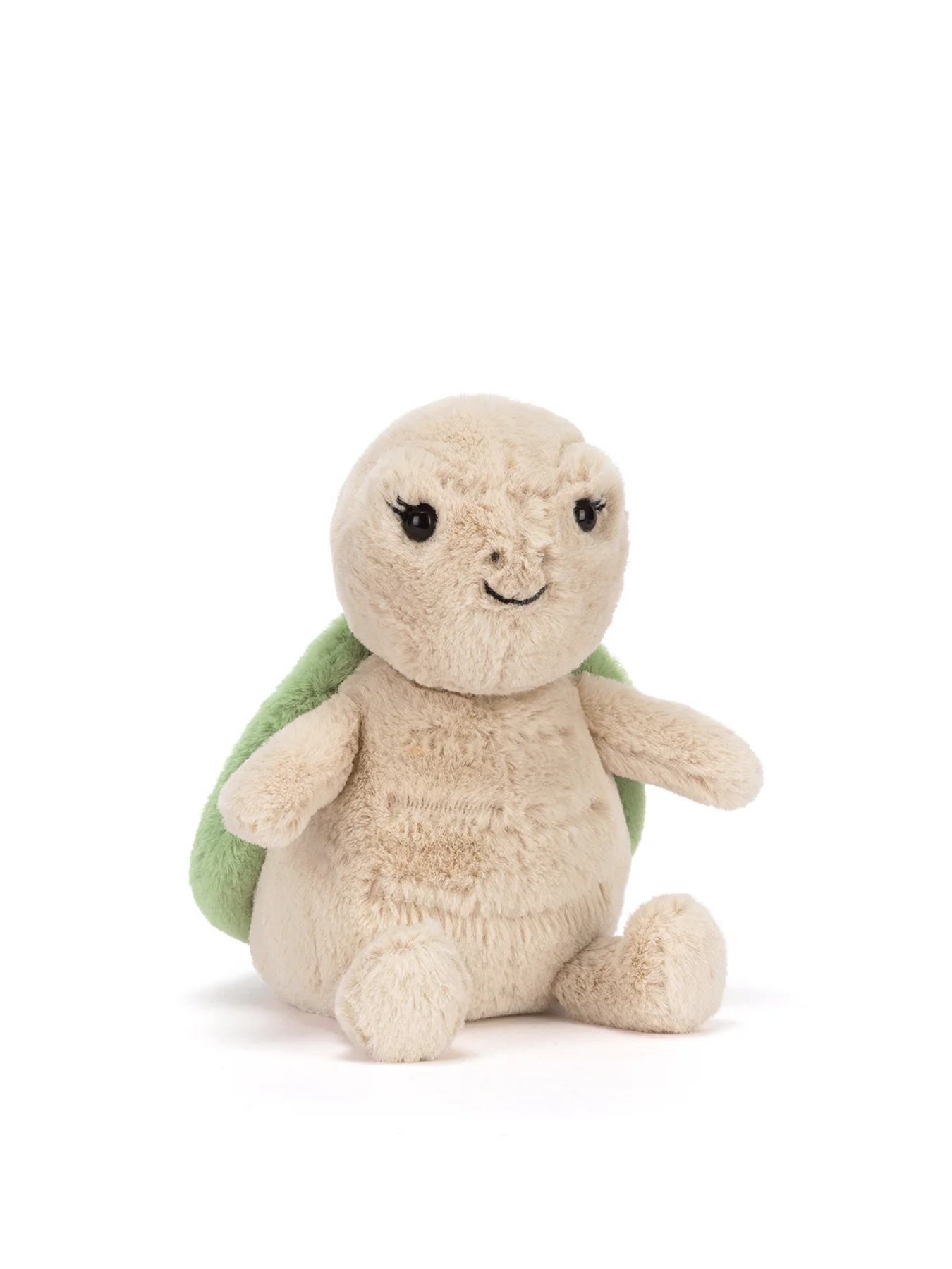 Thimble Turtle