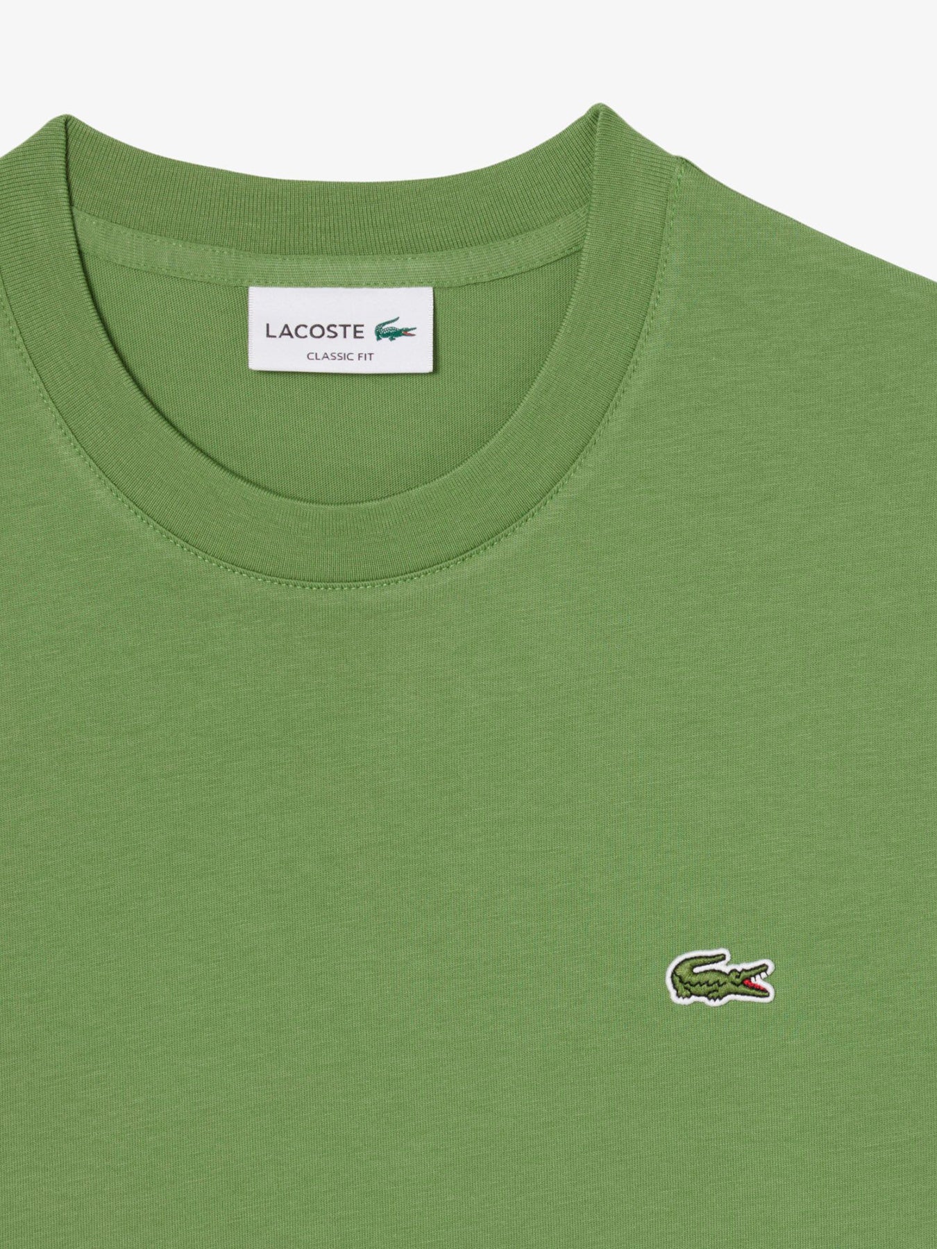 Pima Cotton T-Shirt Green - Image 2