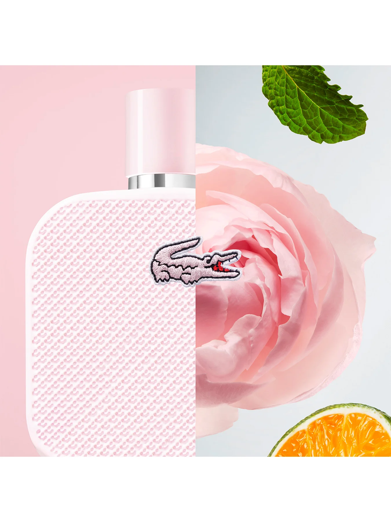 L.12.12 Rose Eau de Parfum 100ml - Image 3