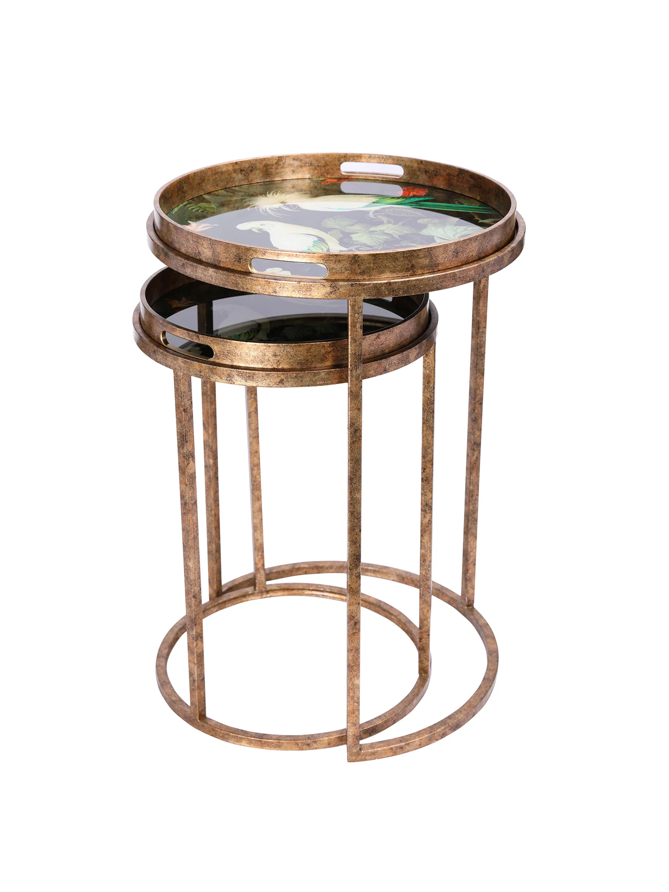 Tropical Birds Tray Tables Set of 2 Gold - Image 3