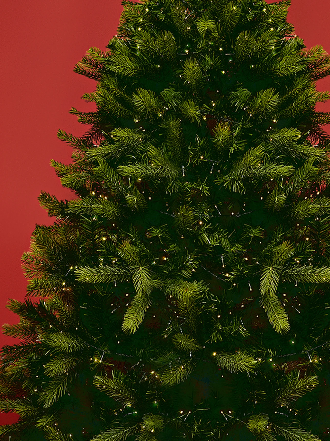 Surrey Fir Pvc Christmas Tree Led Lit 6ft - Image 3