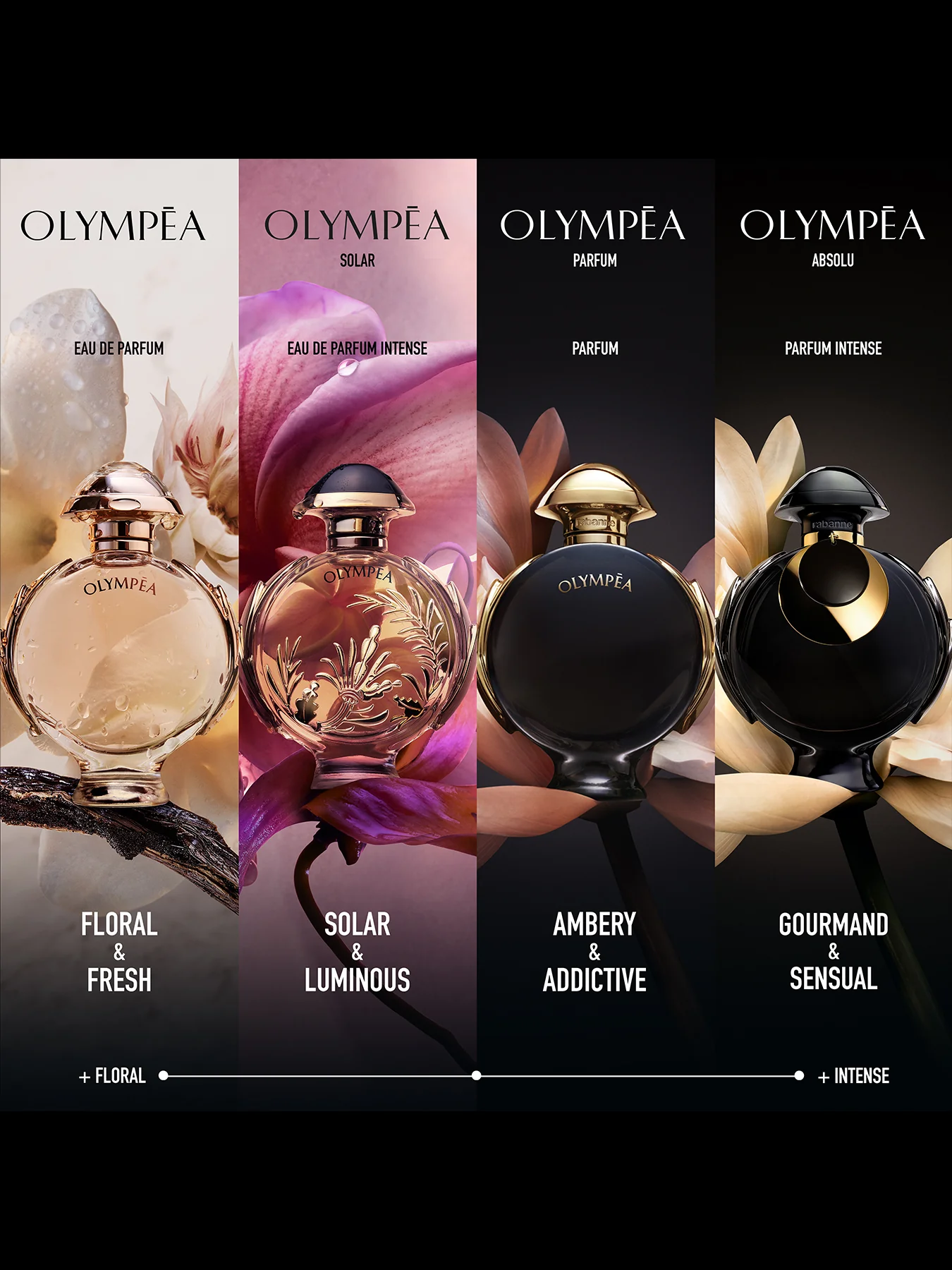 Olympea Absolu Parfum Intense 50ml - Image 4