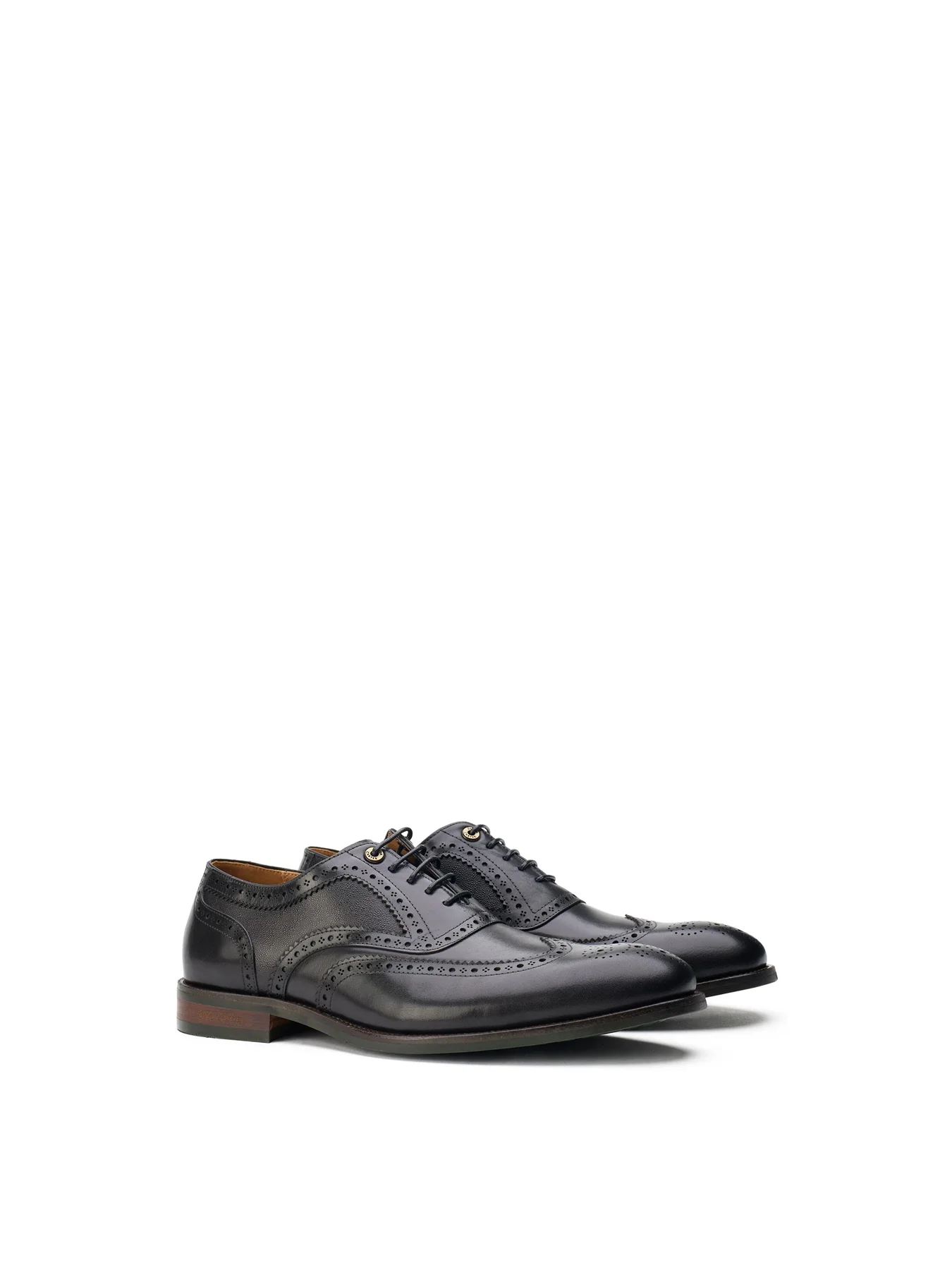 Diplodocus Brogue Shoes Black - Image 2