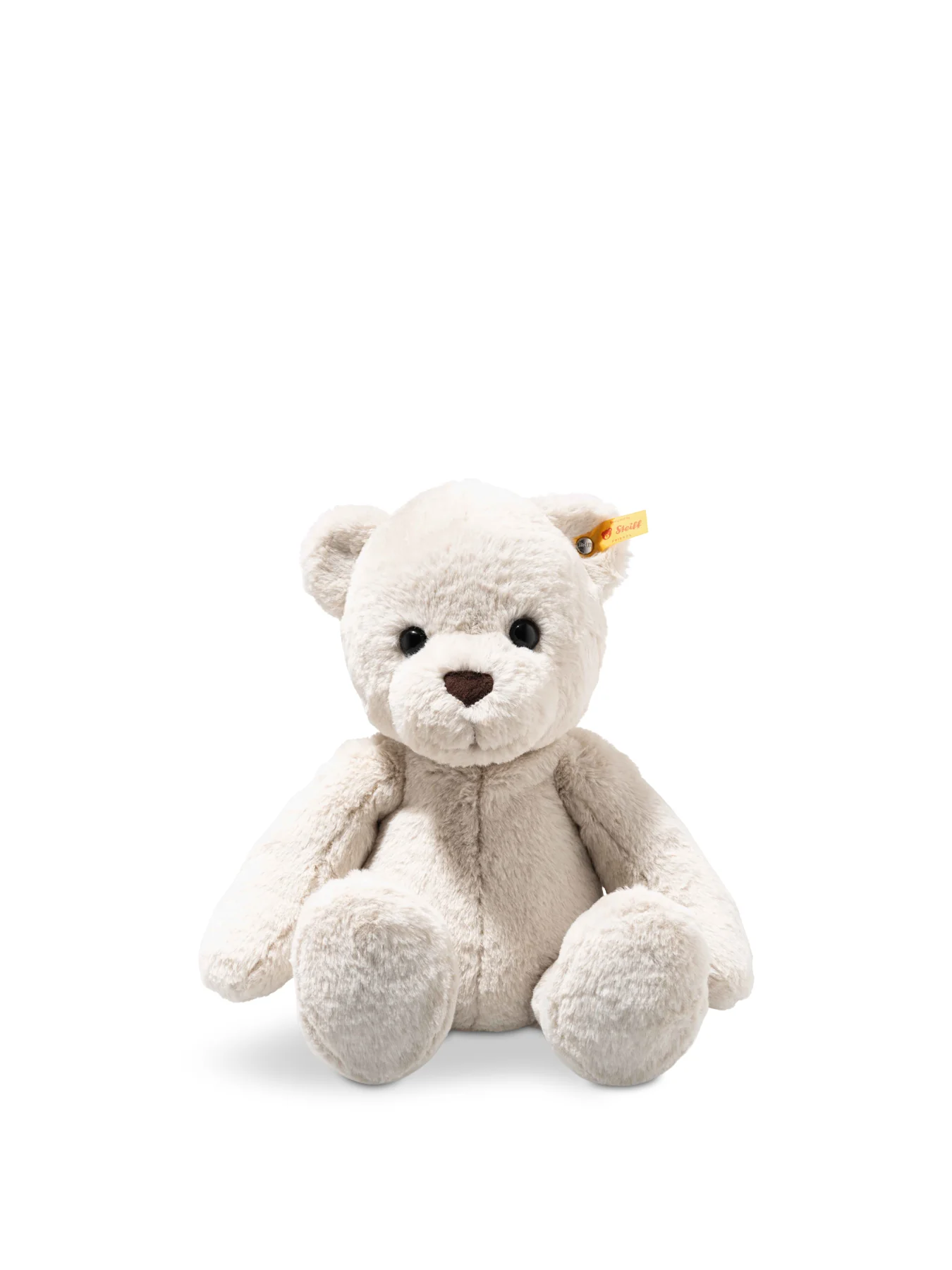 Robby Teddy Bear