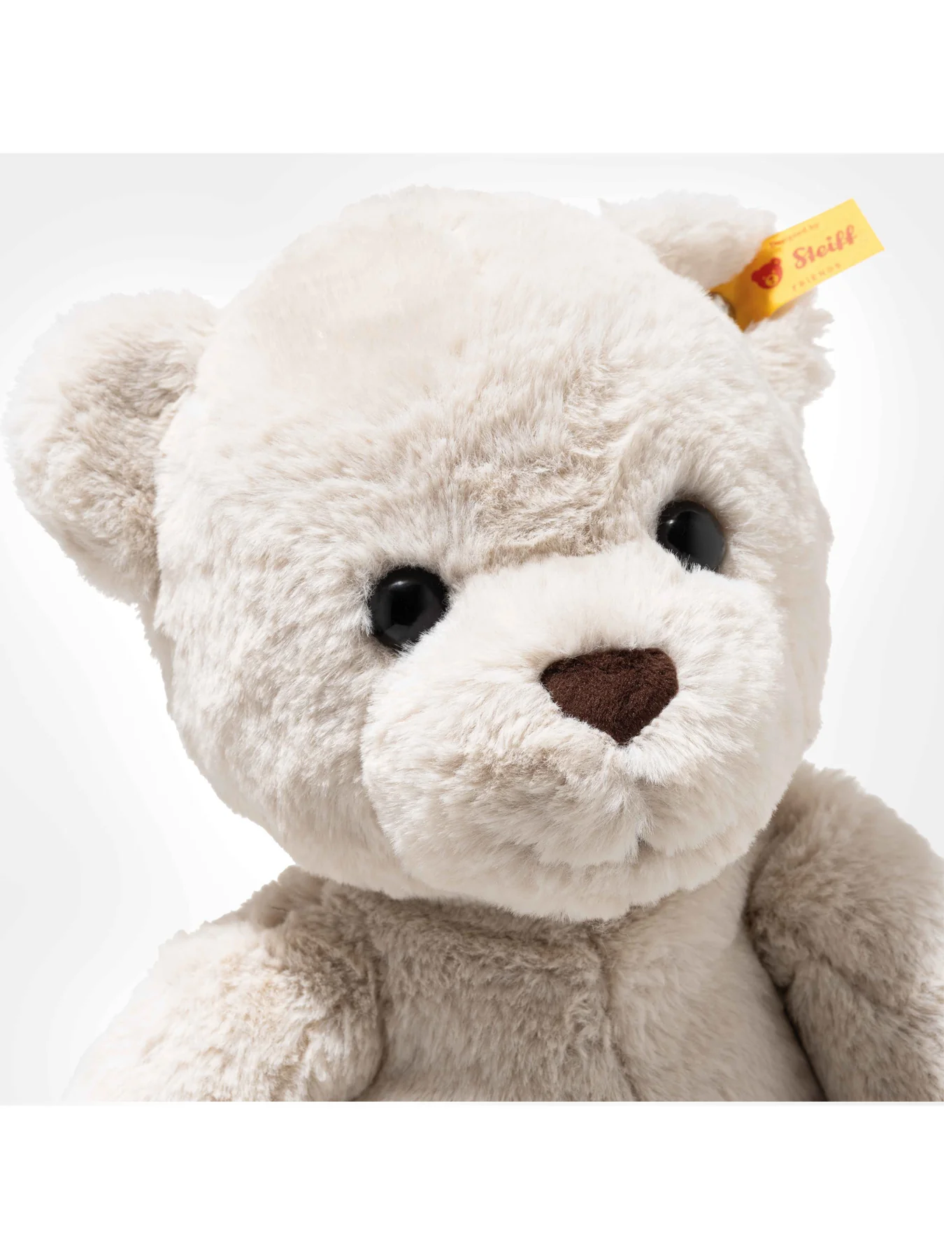 Robby Teddy Bear - Image 3
