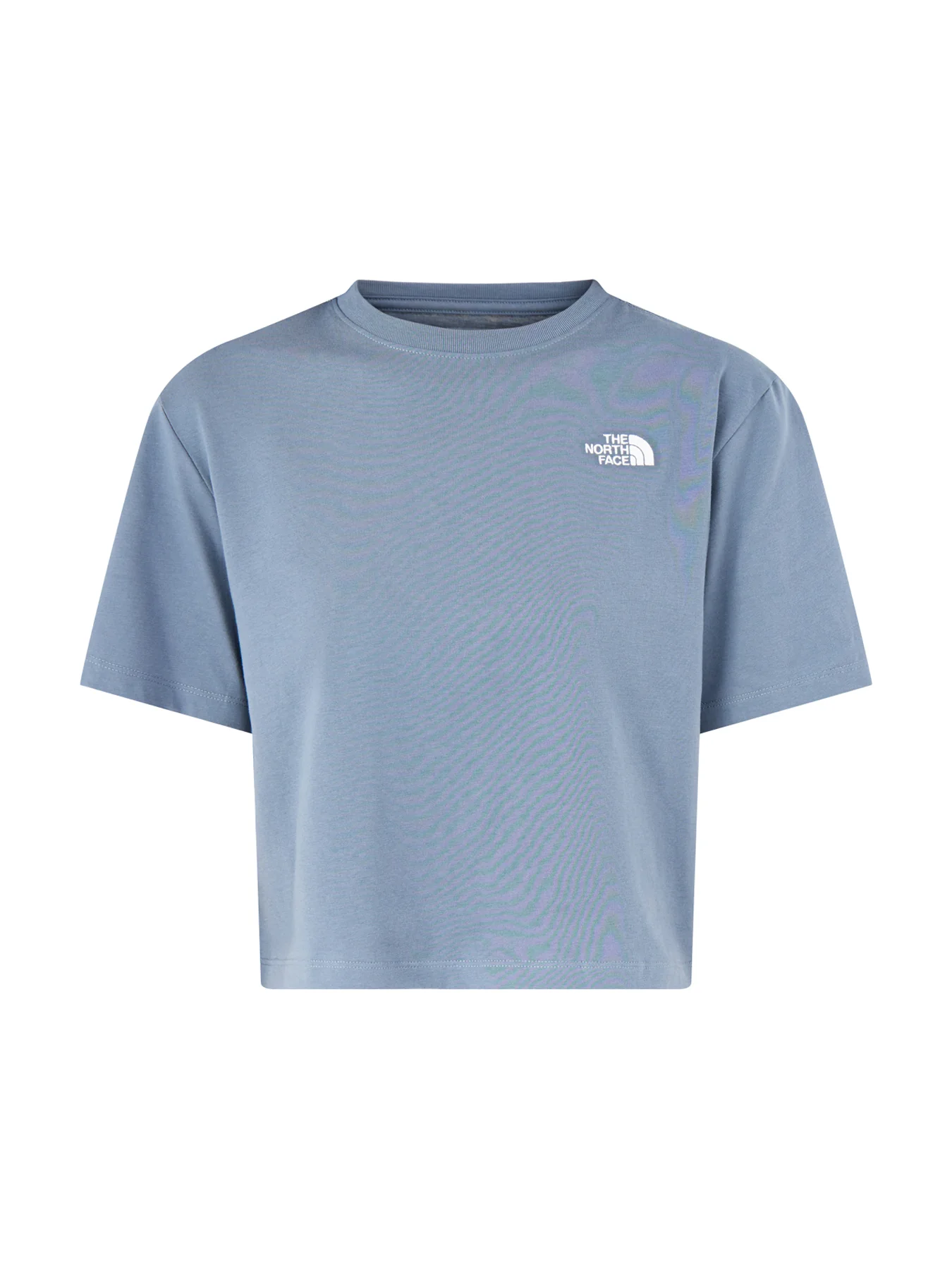 Evolution Simple Dome Crop T Shirt Grey