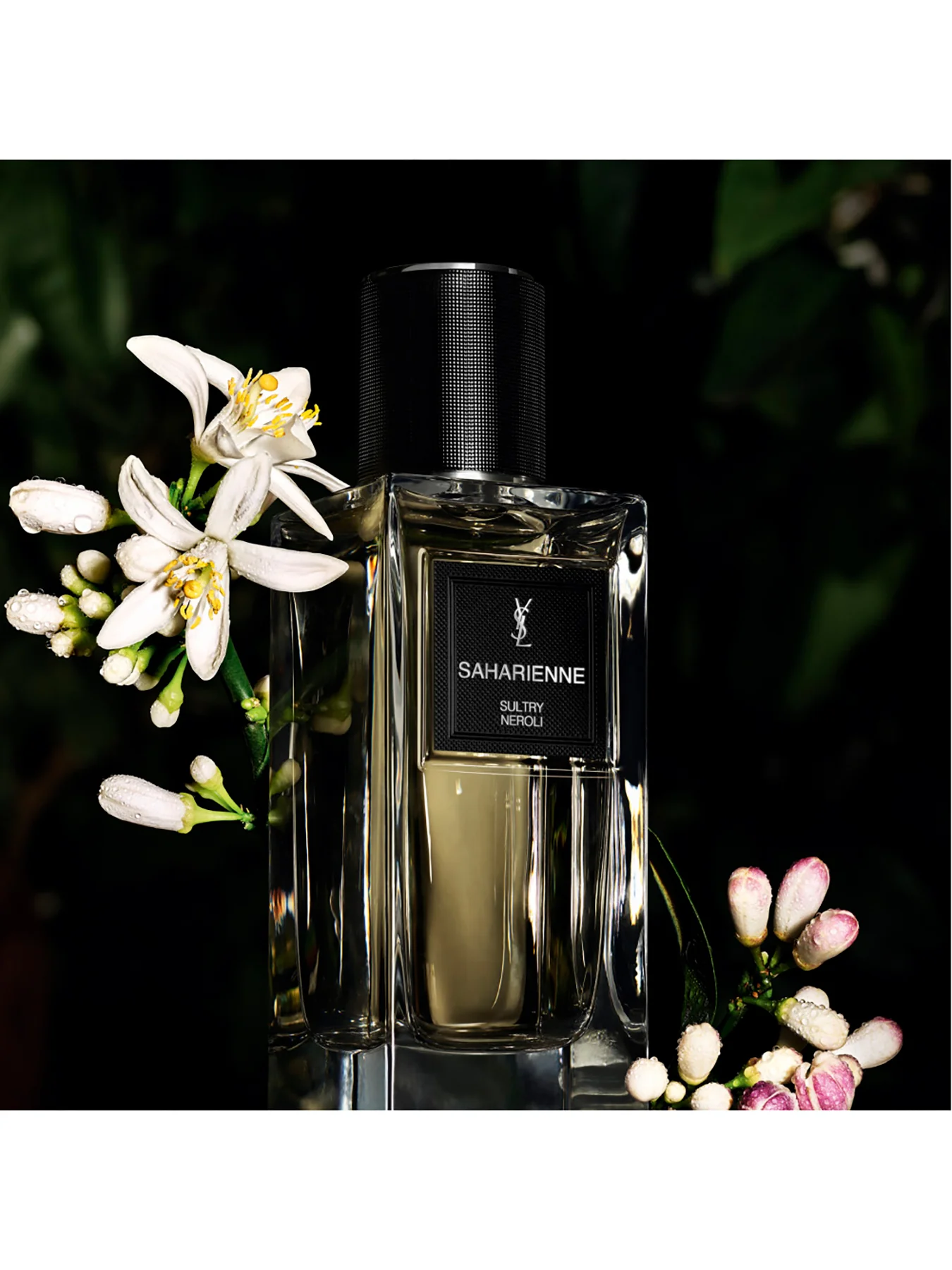 Les Vestiaire des Parfums Saharienne Eau de Parfum 75ml - Image 3