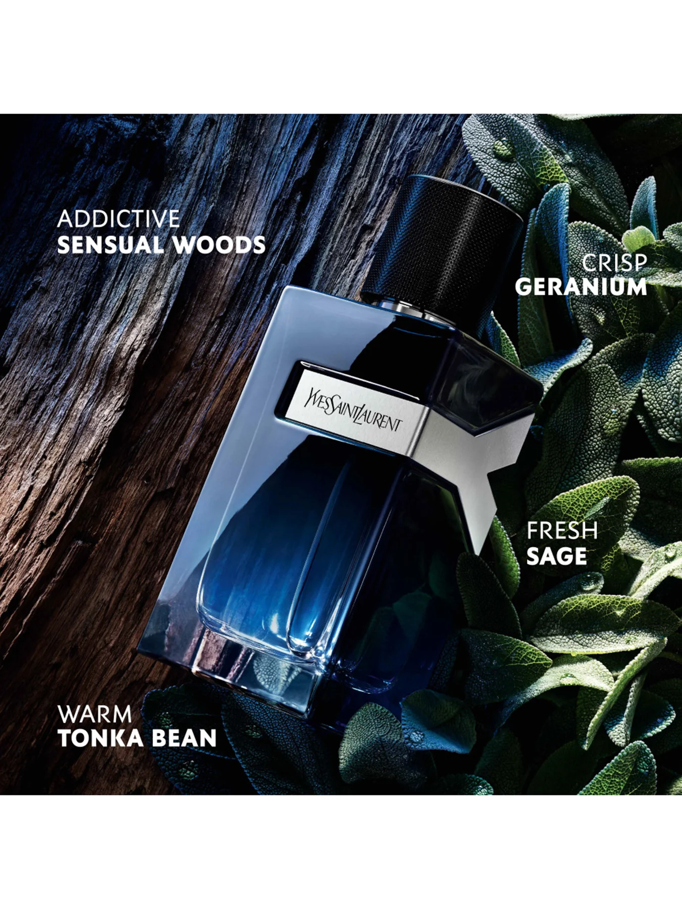 Y Eau de Parfum 100ml Set - Image 2